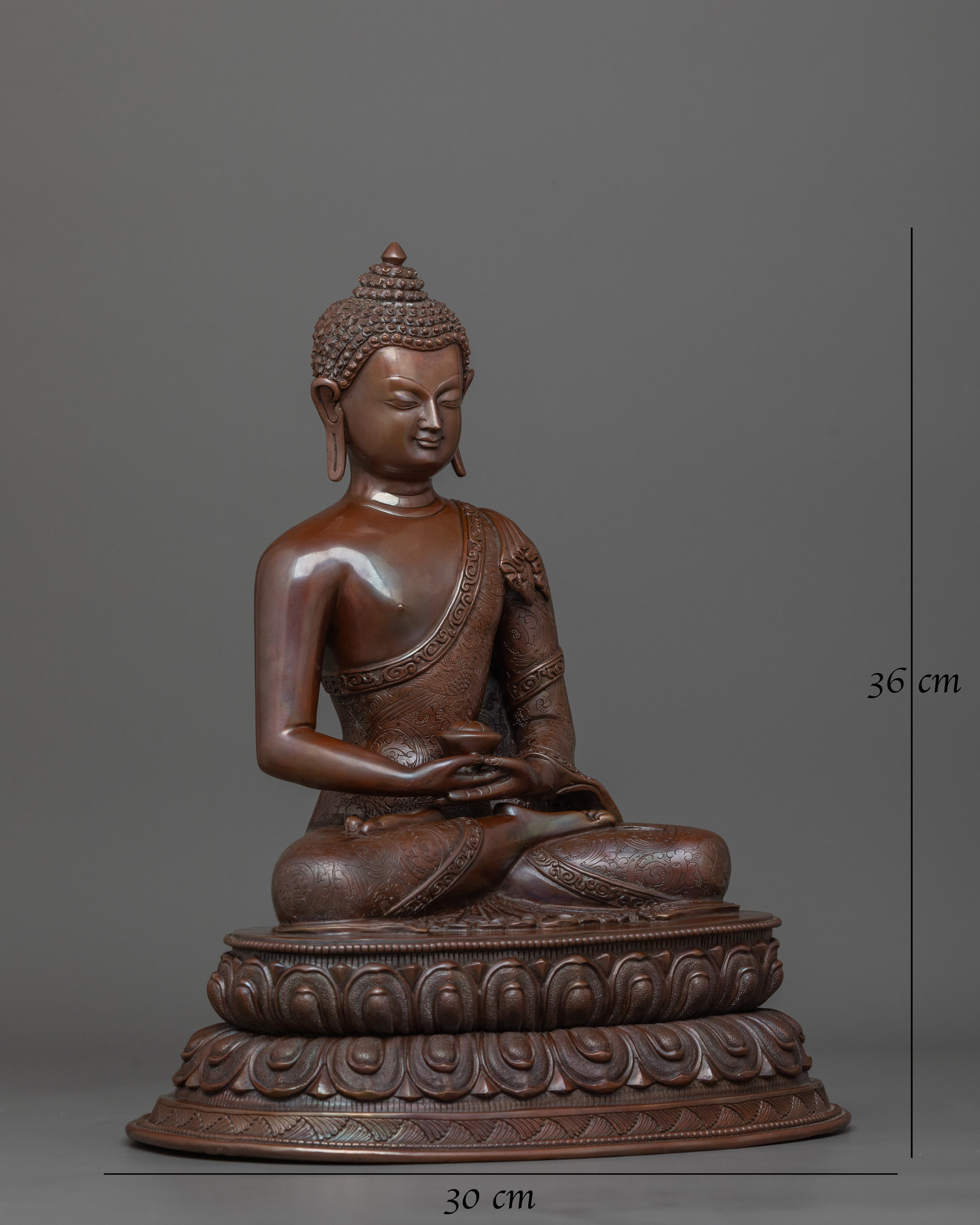 Oxidized 14.2 Inches Amitabha Buddha