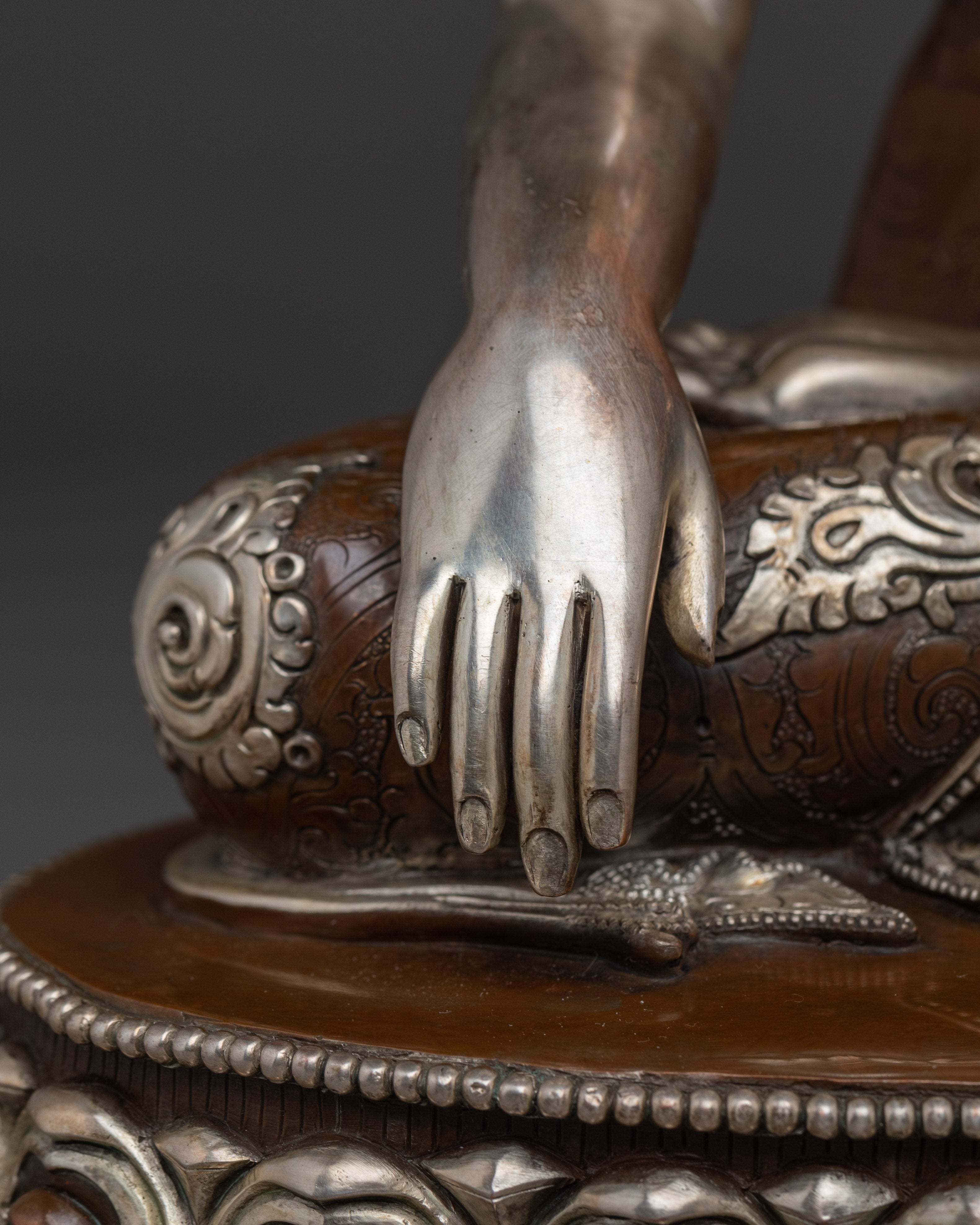 Shakyamuni Buddha with Silver Carvings | Walking the Middle Way