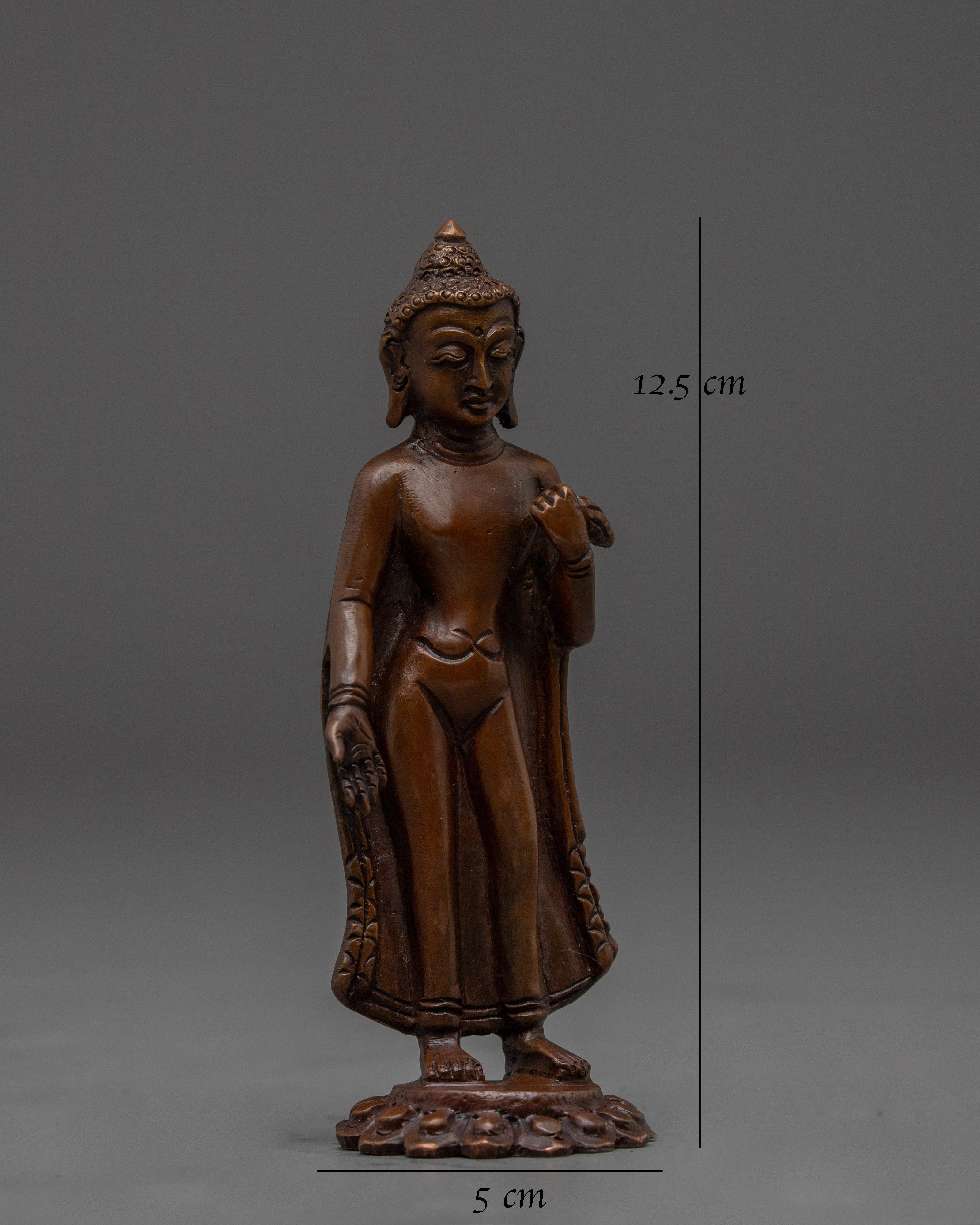 Dipankara Buddha in Oxidized Copper