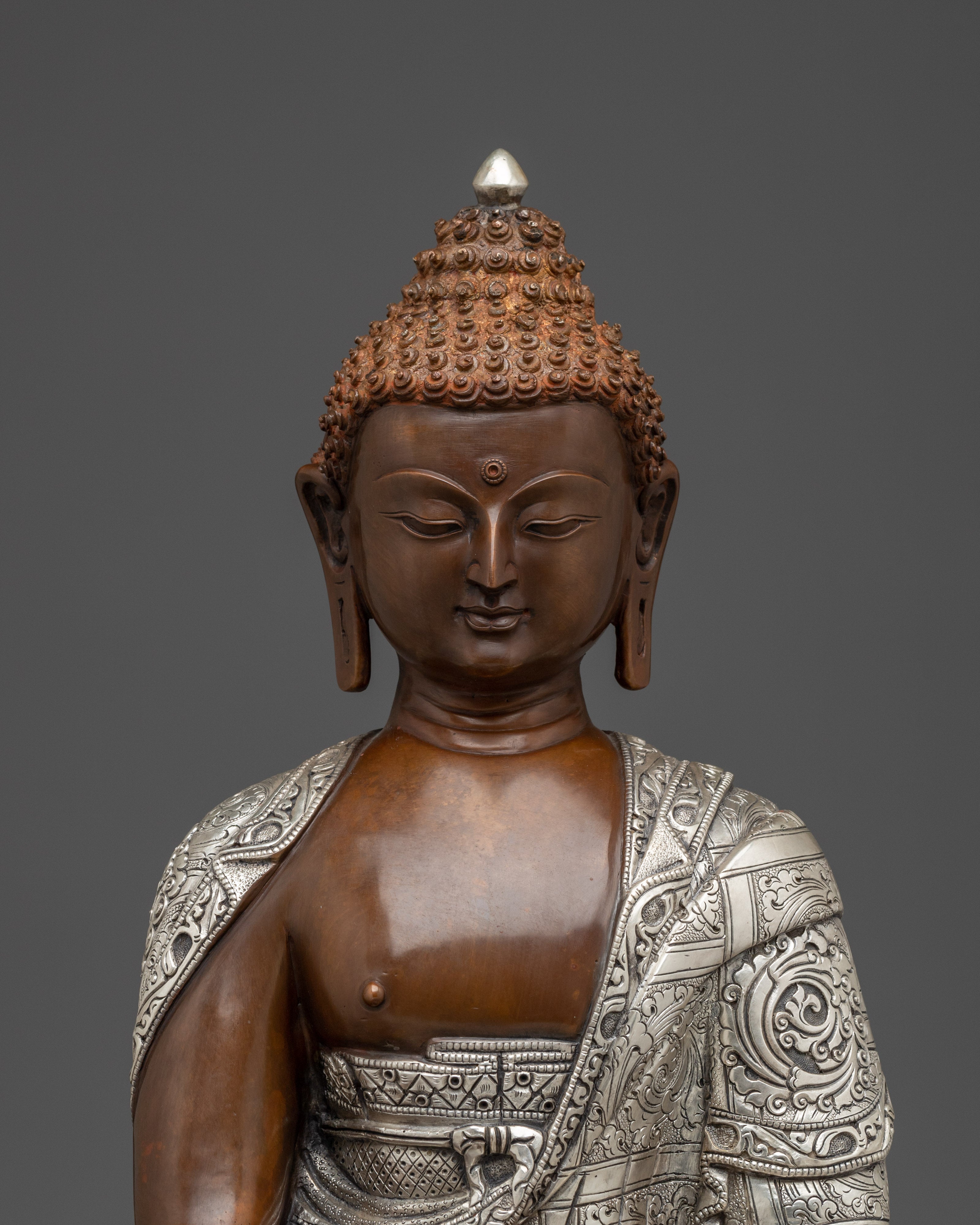 Peaceful Presence of Gautama Buddha | Historical Buddha