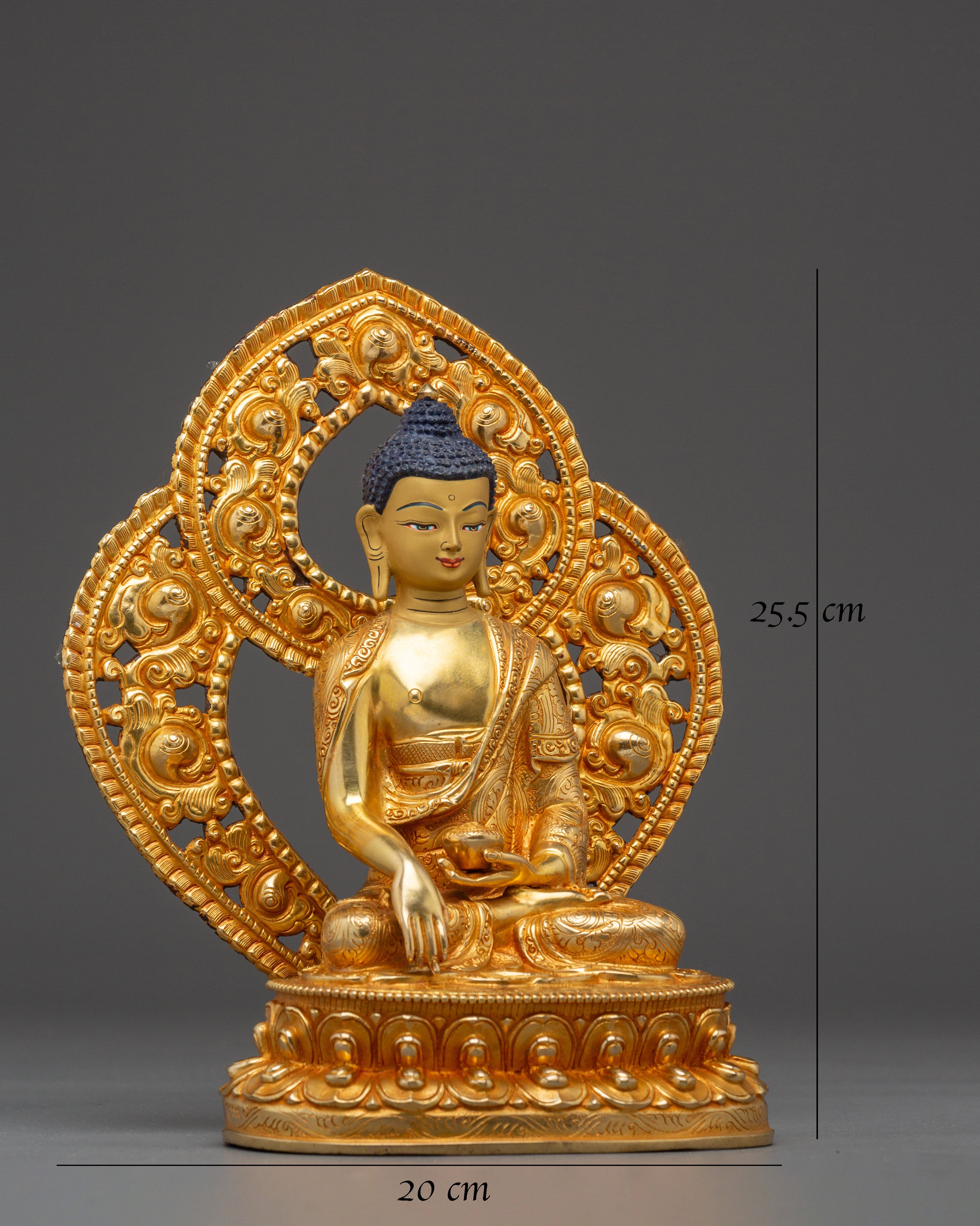 Dharma Teacher Shakyamuni Buddha with Halo