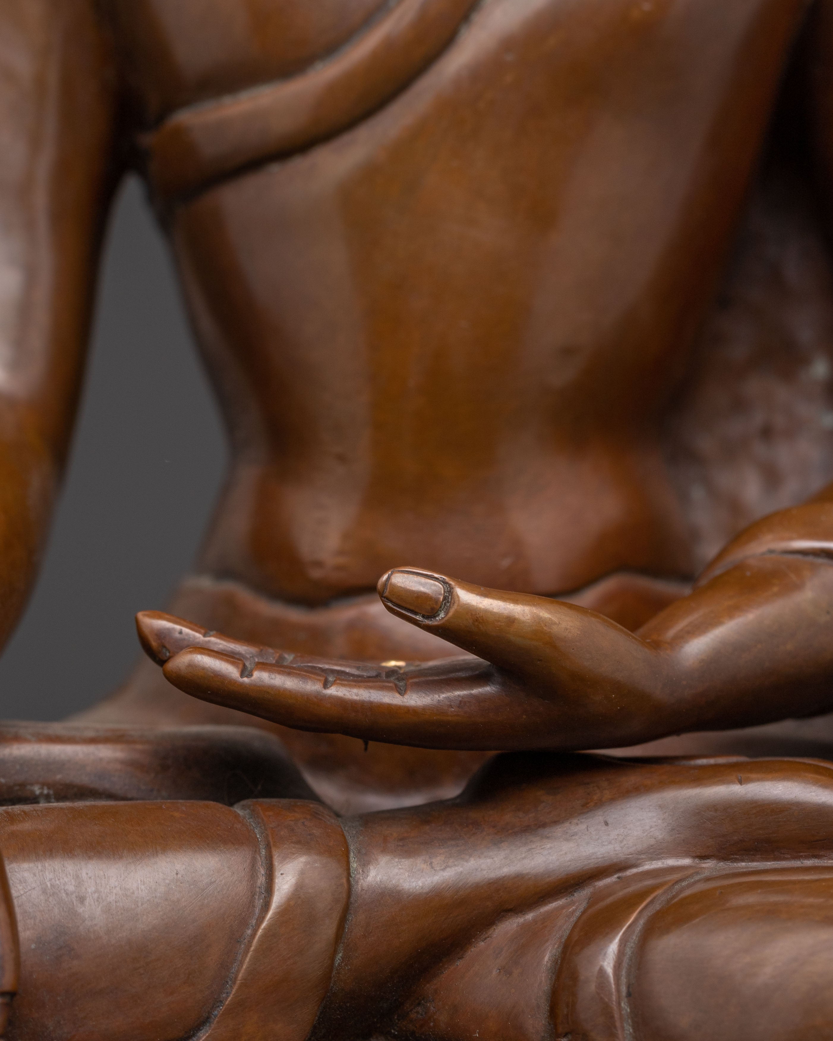 Statue of Buddha Shakyamuni | The Awakened One