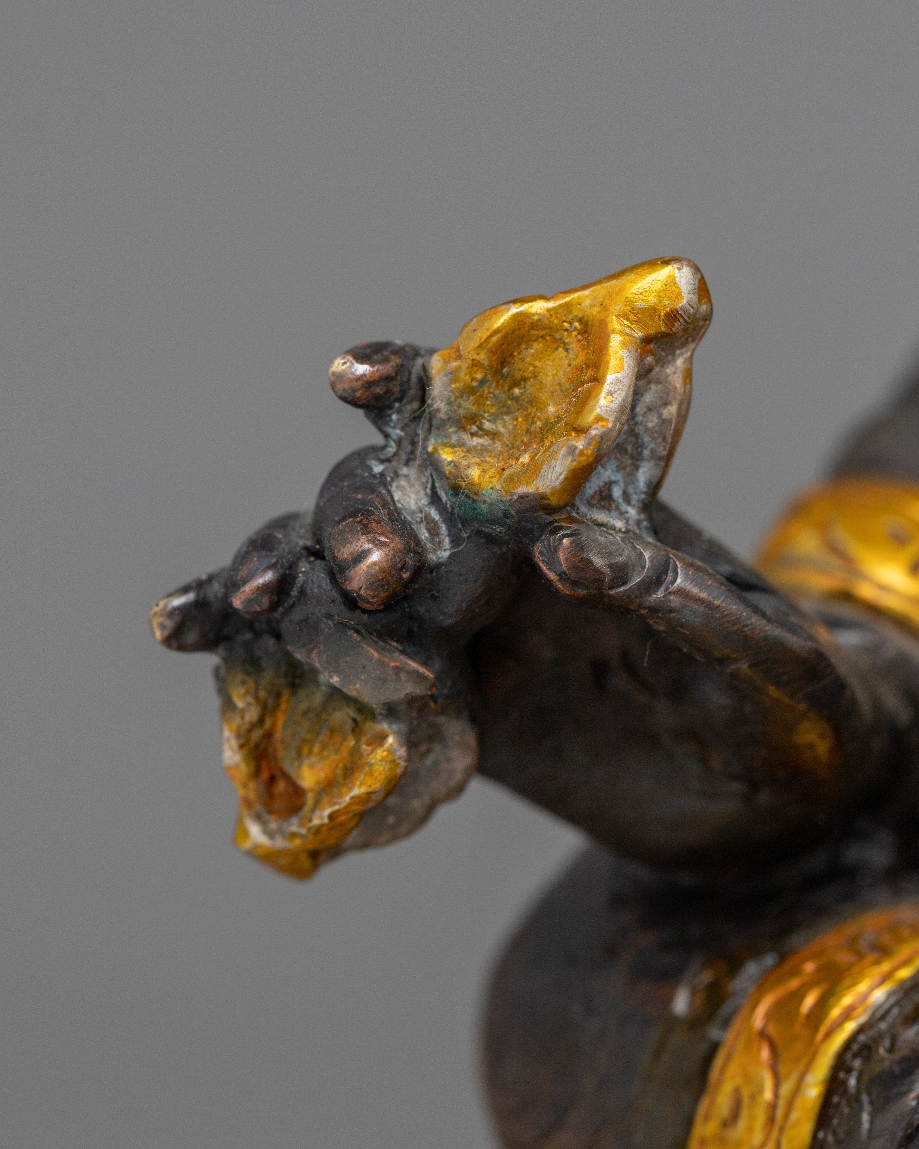 Guru Rinpoche Image | The Precious Master Revealed