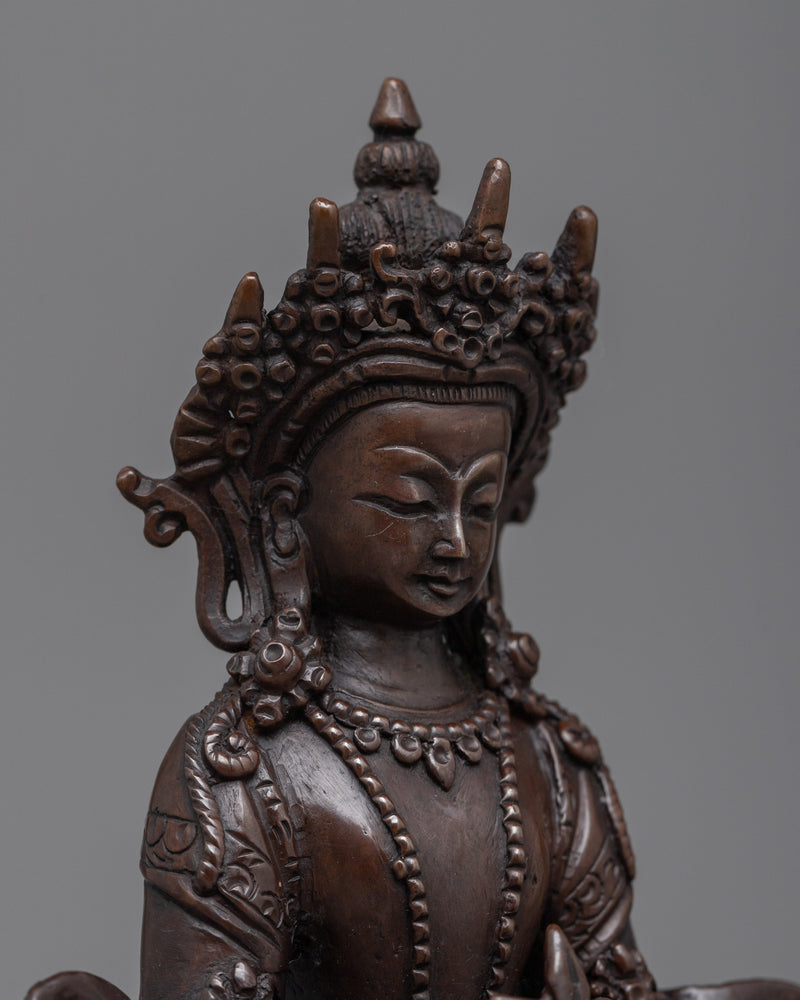 Buddha of Longevity Amitayus | Beacon of Longevity and Wisdom