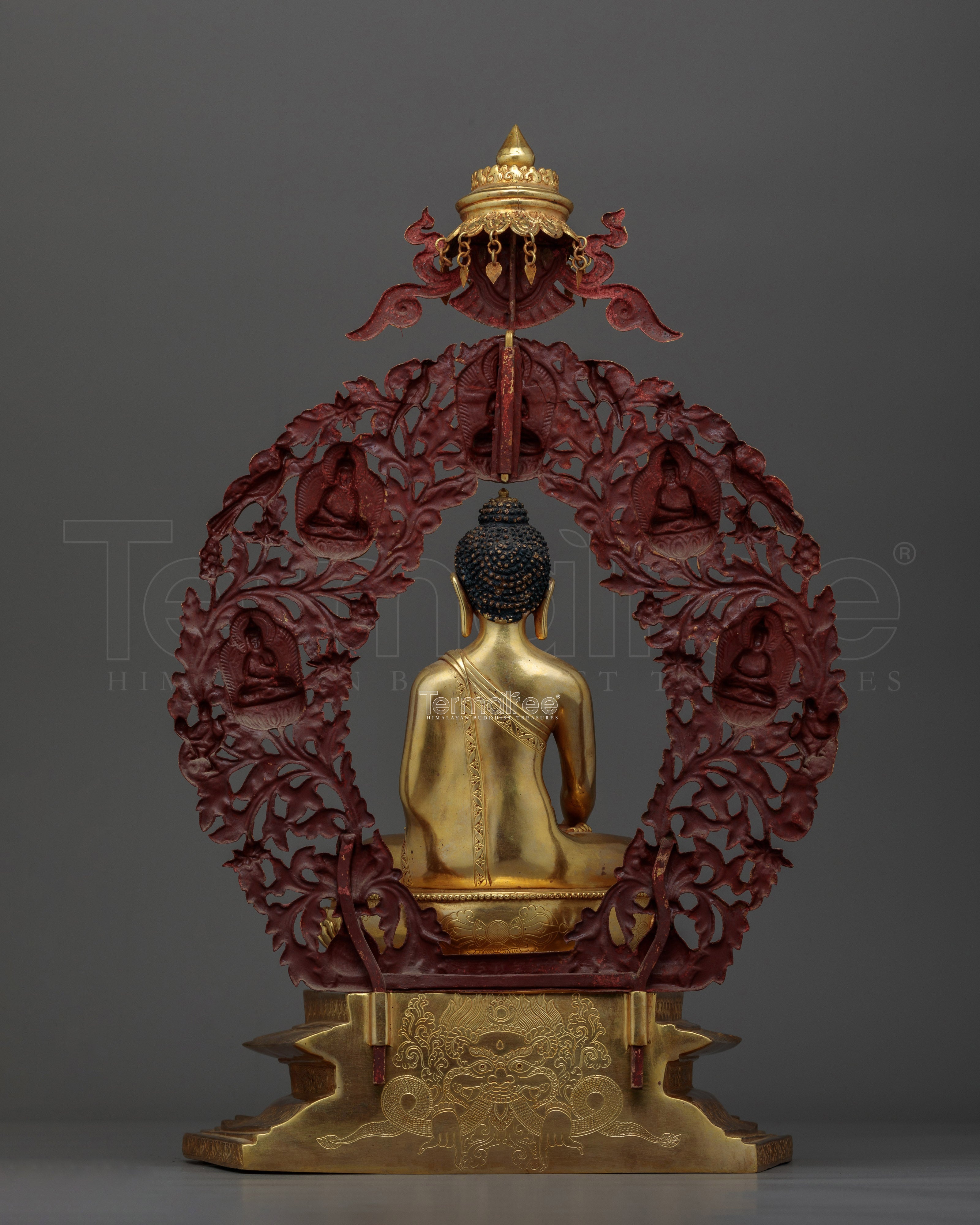 Shakyamuni Buddha a Enlighten Dharma Teacher