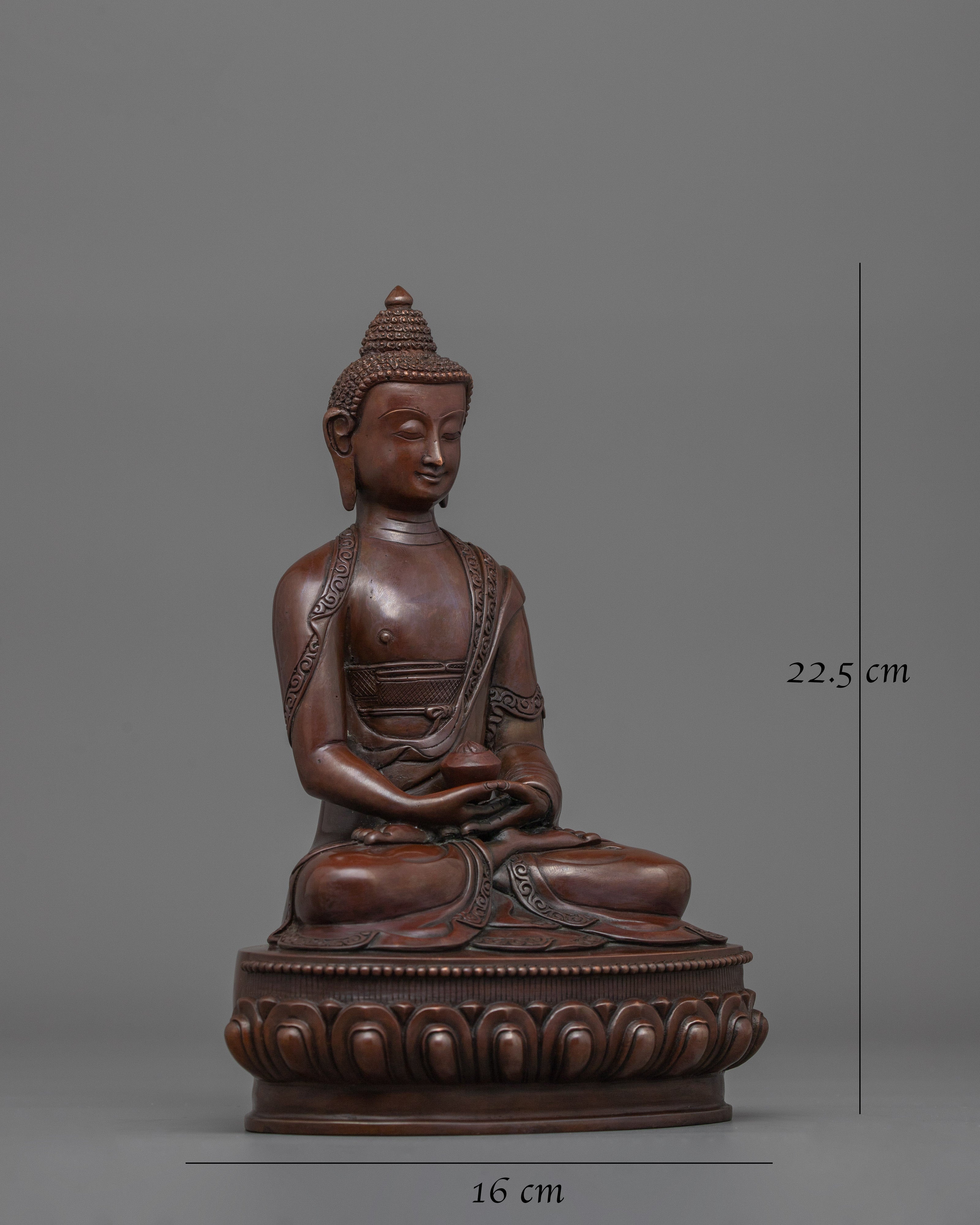 Amitabha Infinite Buddha Light and Wisdom | A Path to Seek Liberation