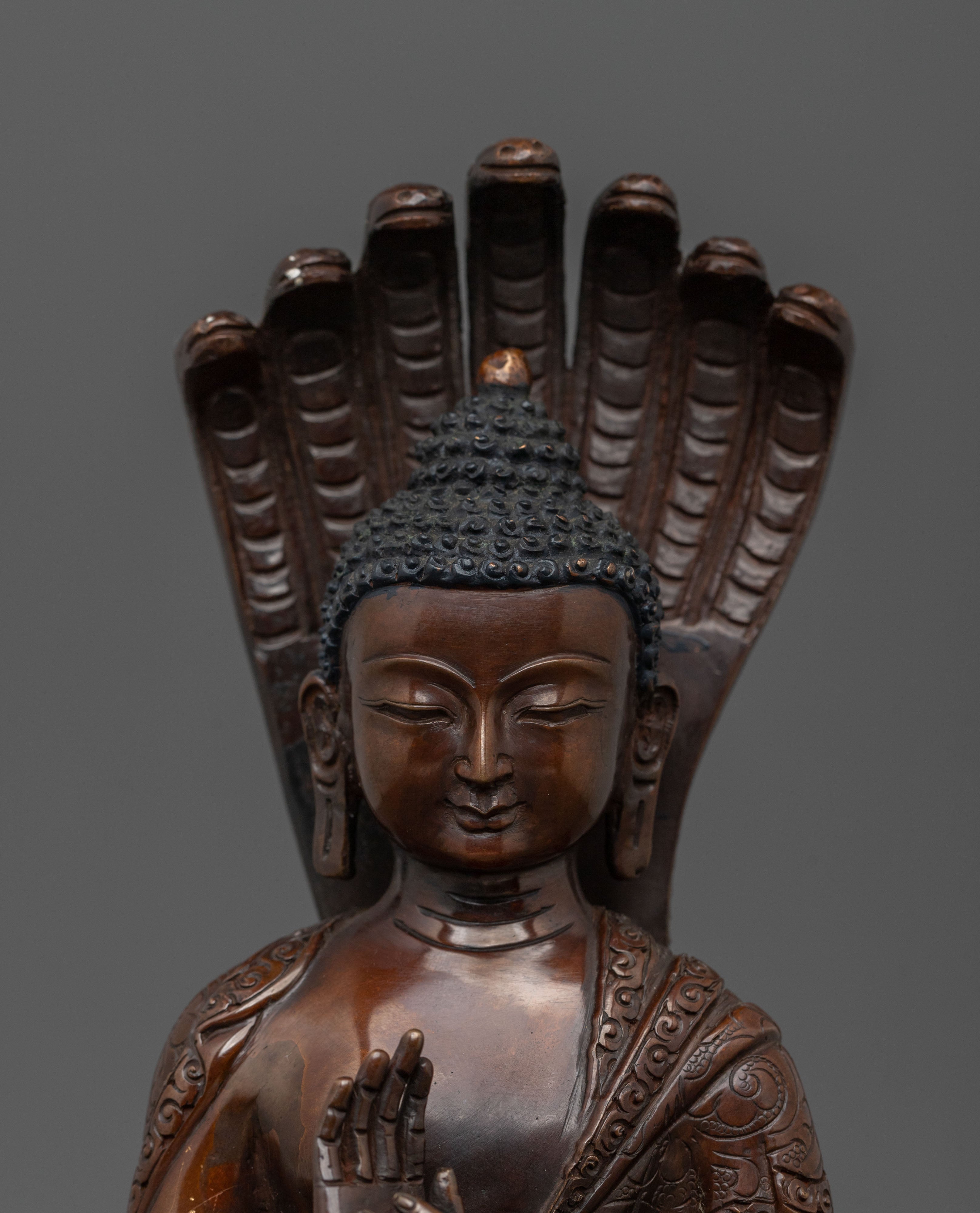 Nagarjuna Sculpture | Oxidized Copper Finish