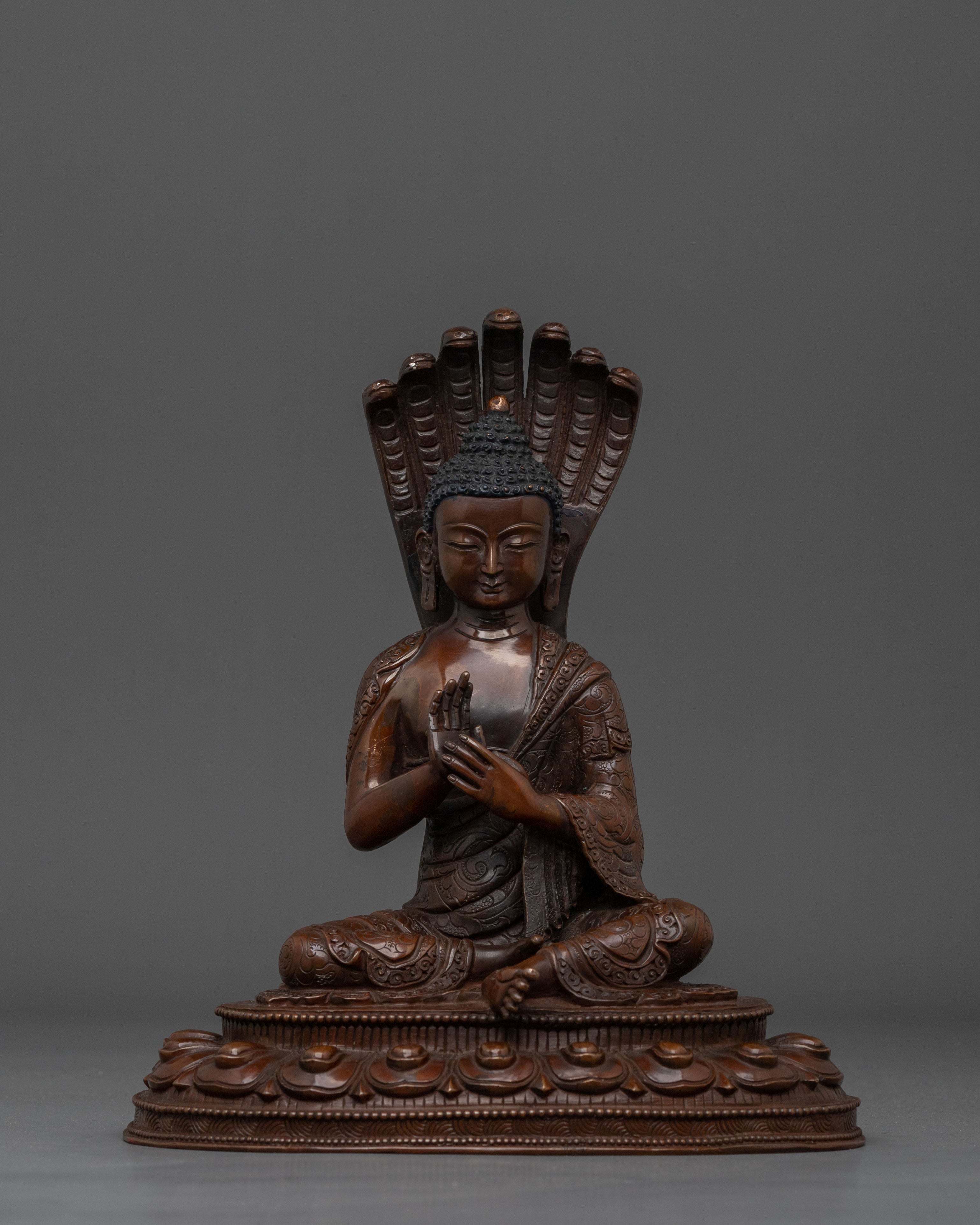 Nagarjuna Statue