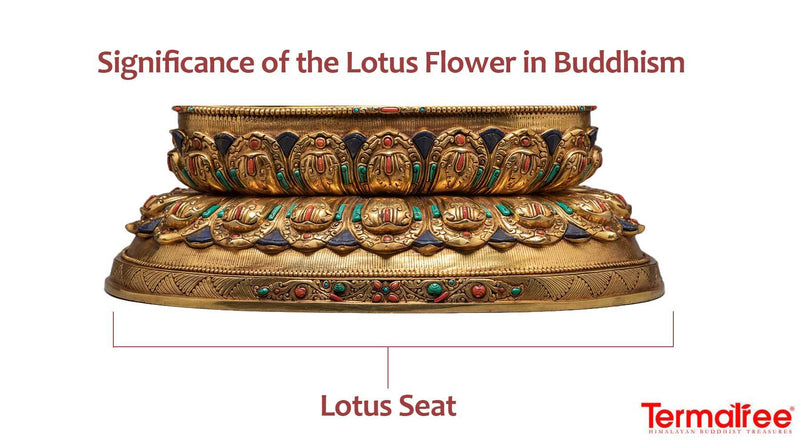 The Lotus flower meaning and symbolism