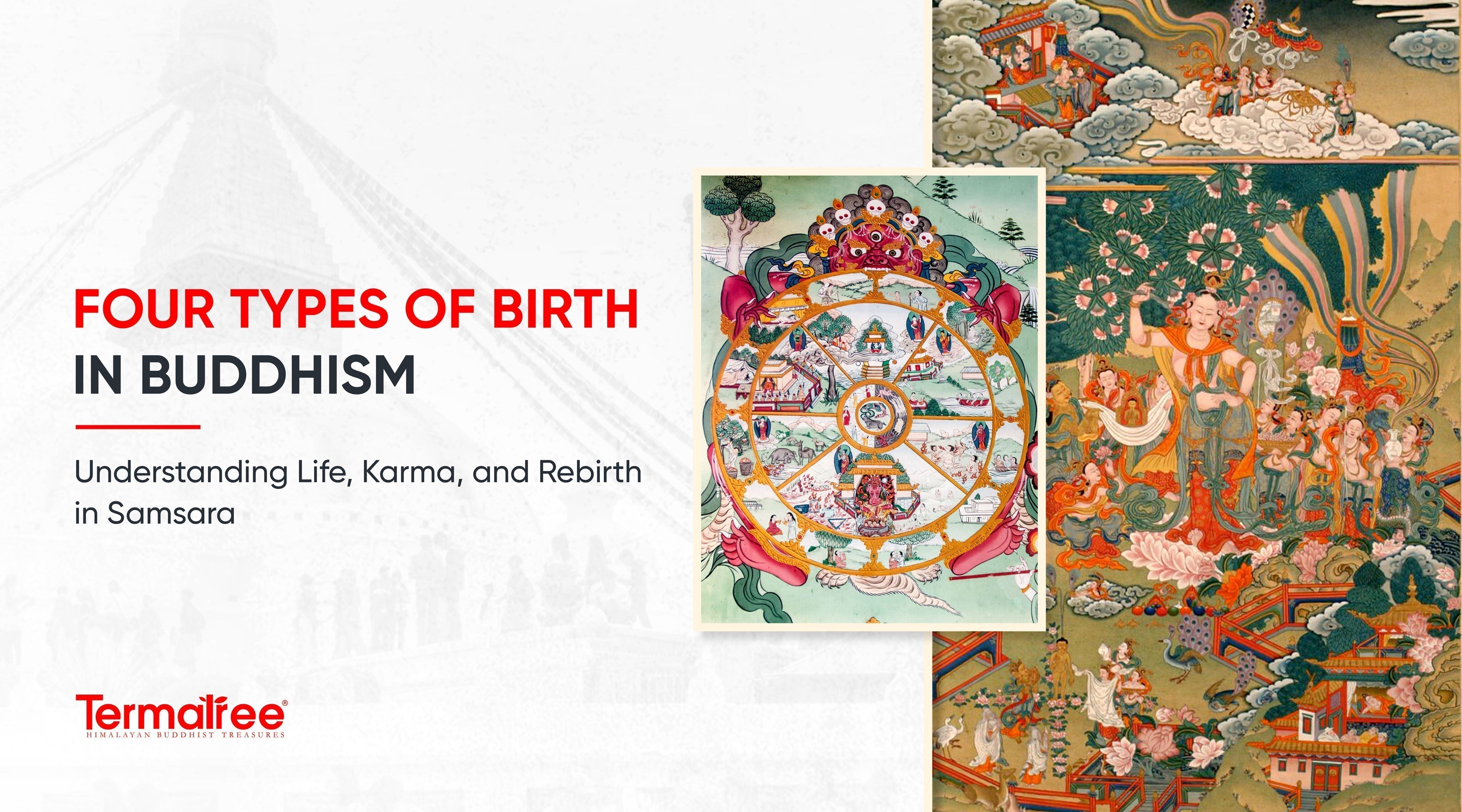 Four Types of Birth in Buddhism: Understanding Life, Karma, and Rebirth in Samsara&nbsp;