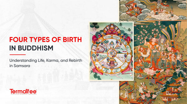 Four Types of Birth in Buddhism: Understanding Life, Karma, and Rebirth in Samsara&nbsp;