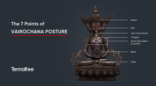 The seven points are not only mechanical or anatomical points of alignment, they are also psychological points of orientation that create the conditions to let the mind rest effortlessly in meditative absorption.
