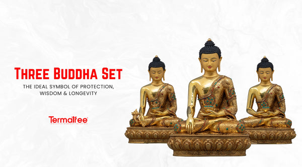  The practice of Buddhists includes focusing on Shakyamuni Buddha, Amitabha Buddha, and Medicine Buddha. 