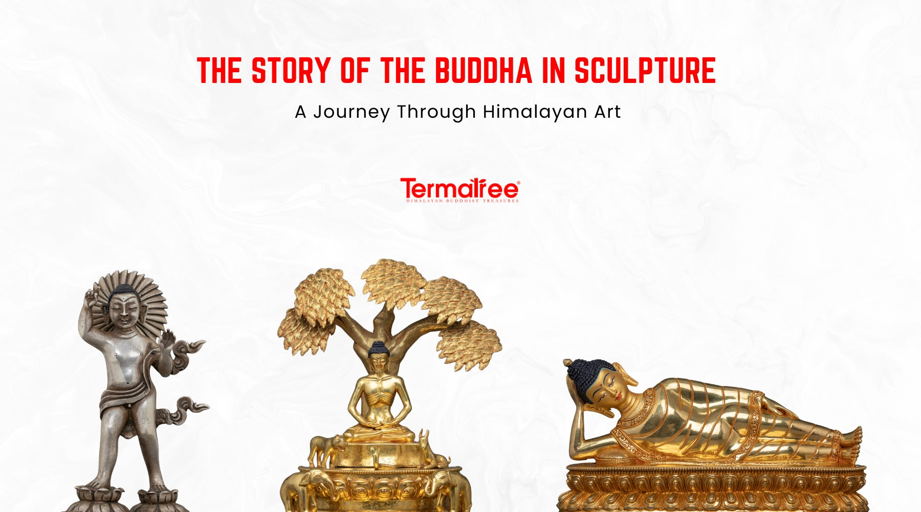 From the verdant groves of Lumbini to the unyielding calm of the Bodhi tree, Gautama Buddha's life is lived out as the most significant and transformative spiritual endeavor ever undertaken
