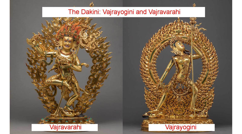 Characteristic Description of Dakini Vajravarahi and Vajrayogini