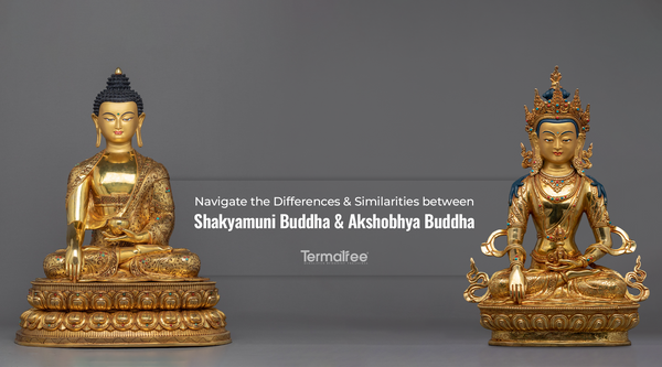 The Differences between Shakyamuni Buddha and Akshobhya Buddha