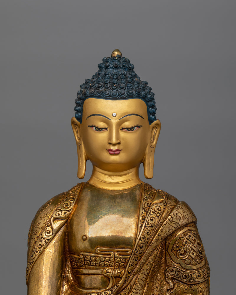 Shakyamuni Buddha the Founder of the Buddhist Religion | Symbol of Enlightened Buddha