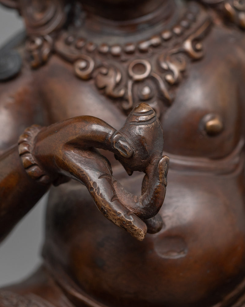 Namtoshe Tibetan Buddhist Deity | Spiritual Protection and Abundance