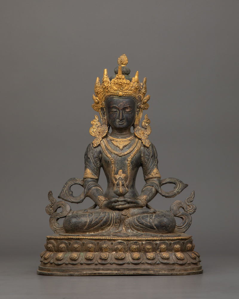 Himalayan Treasure Amitayus