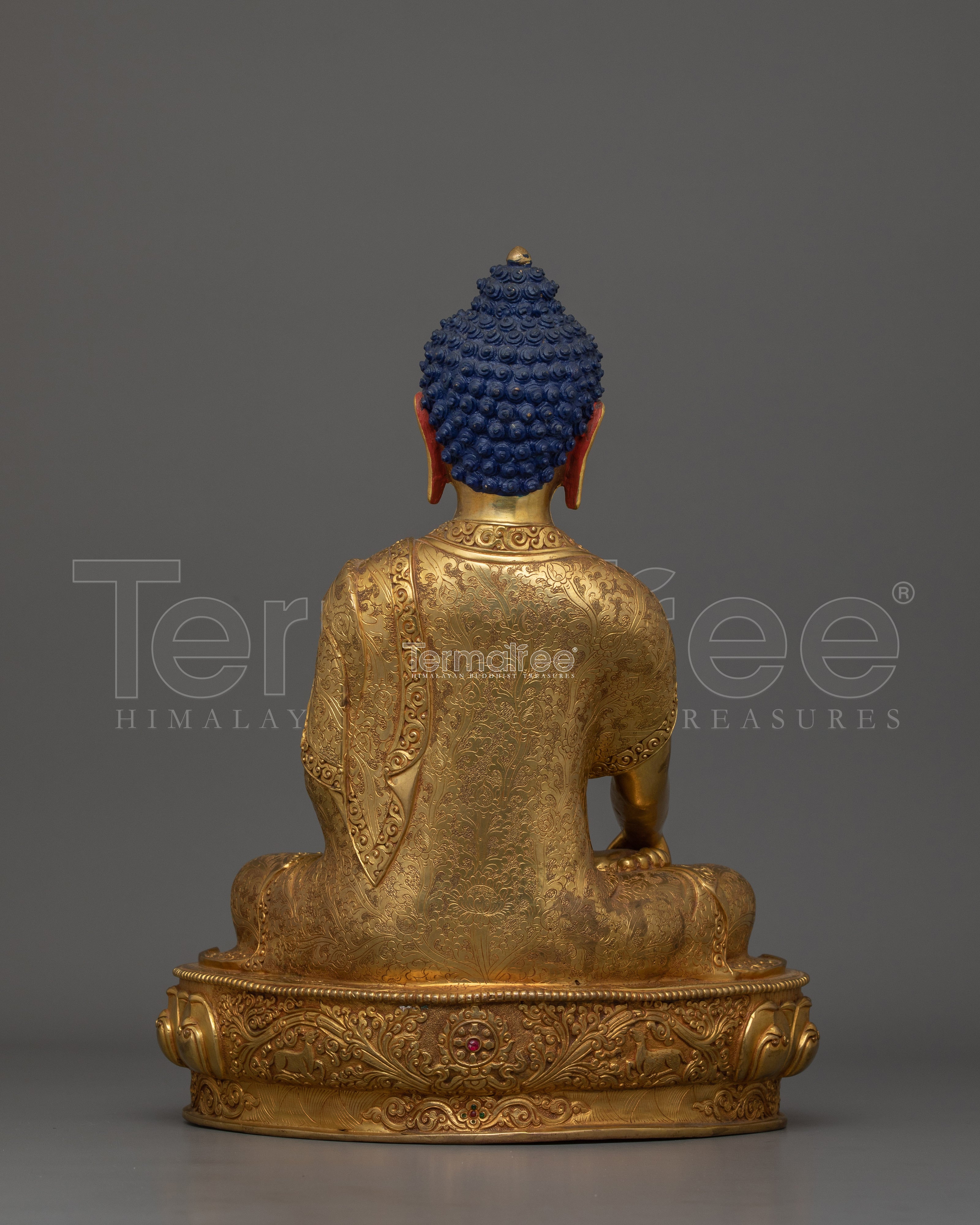 Shakyamuni Sage Of The Shakya Clan | The One Who Realized the Truth