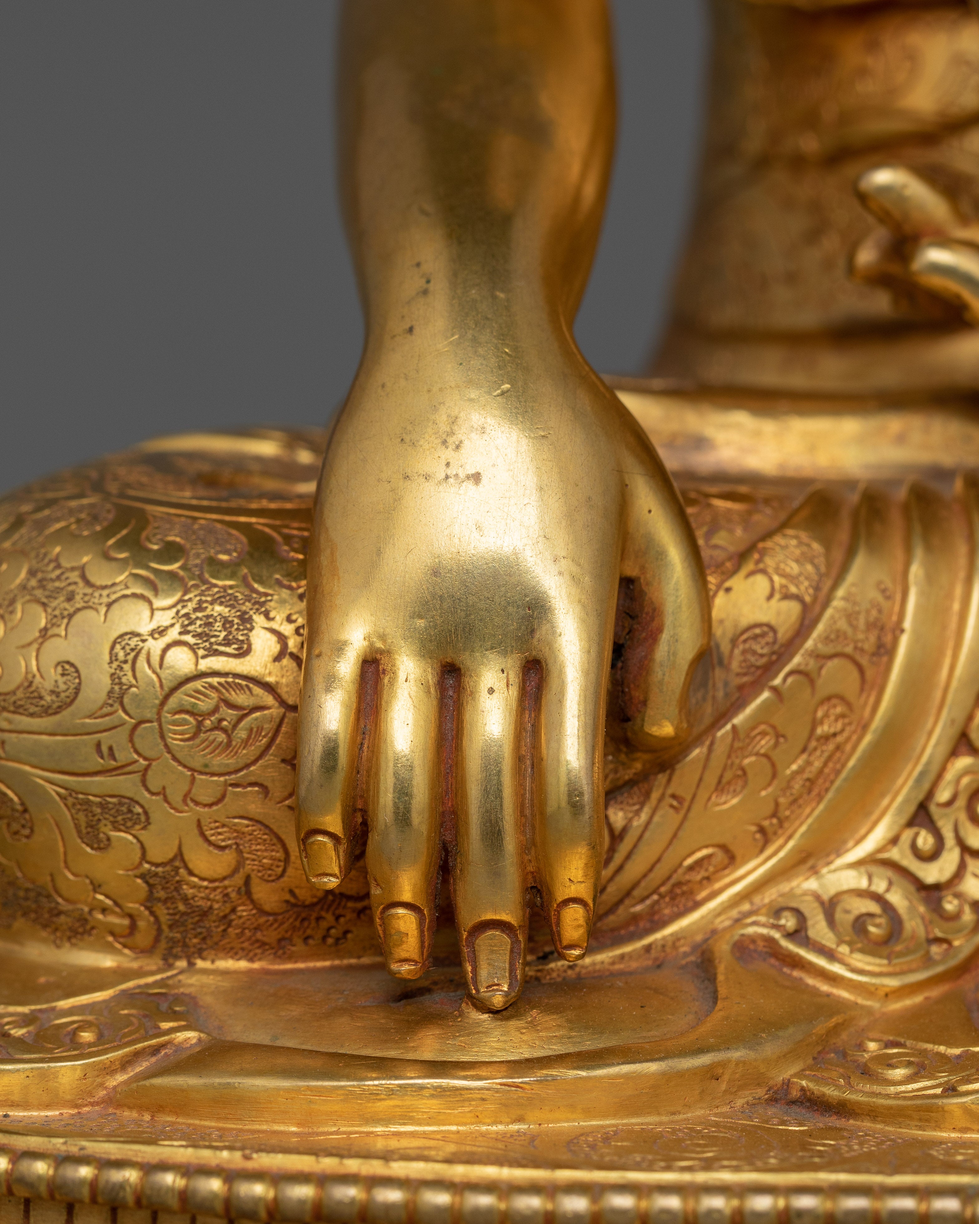 Shakyamuni Sage Of The Shakya Clan | The One Who Realized the Truth