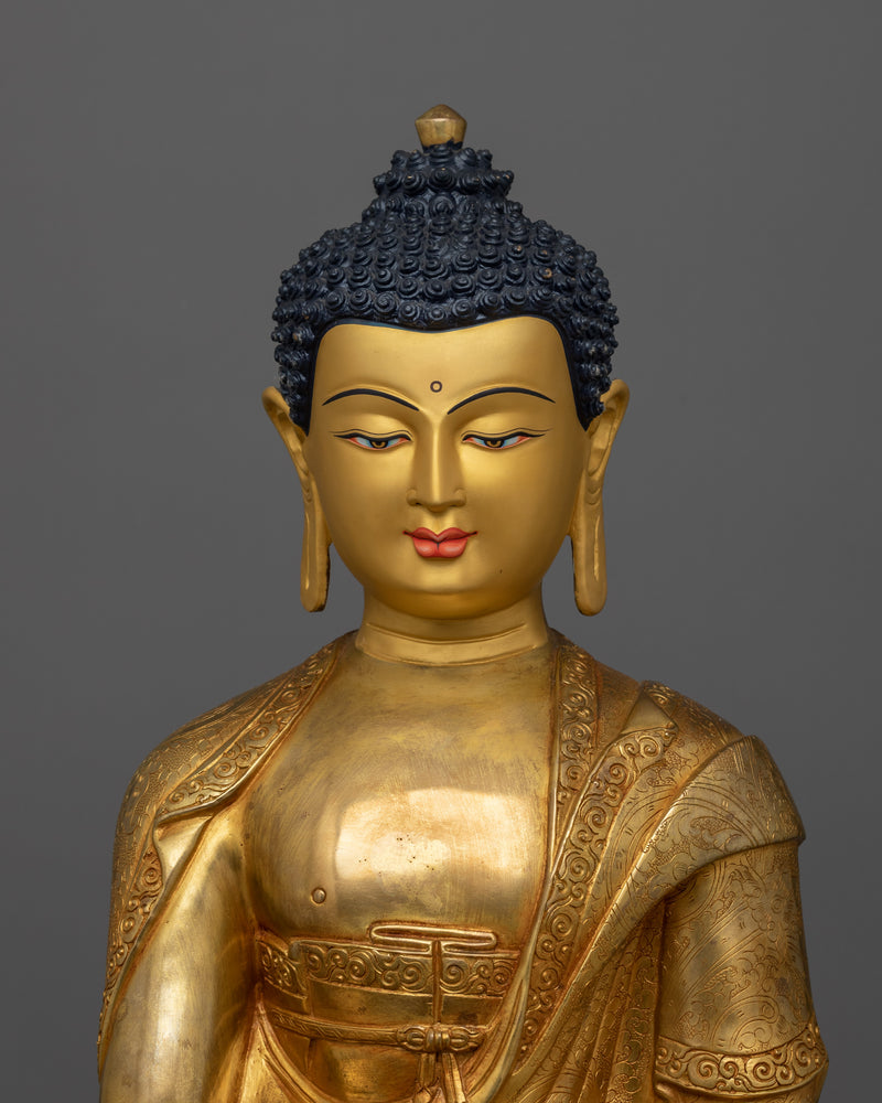 The Awakened Shakyamuni Buddha | The Illuminator of the Dharma