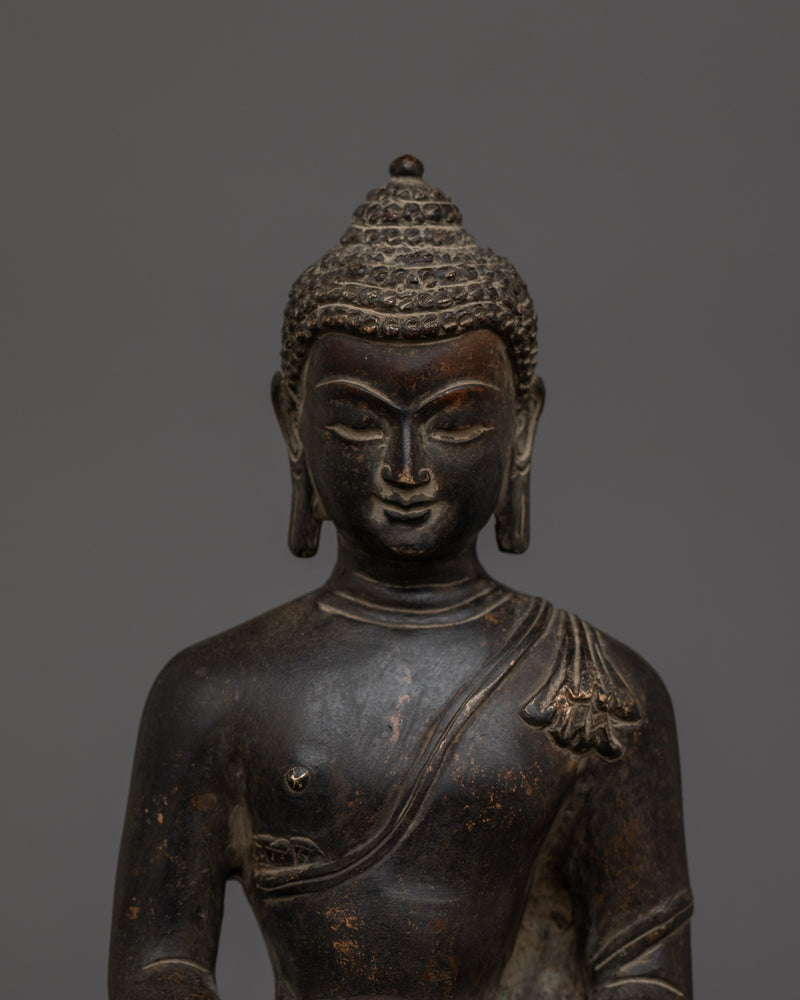 Buddha of Eternal Life Amitabha | Embrace Timeless Serenity