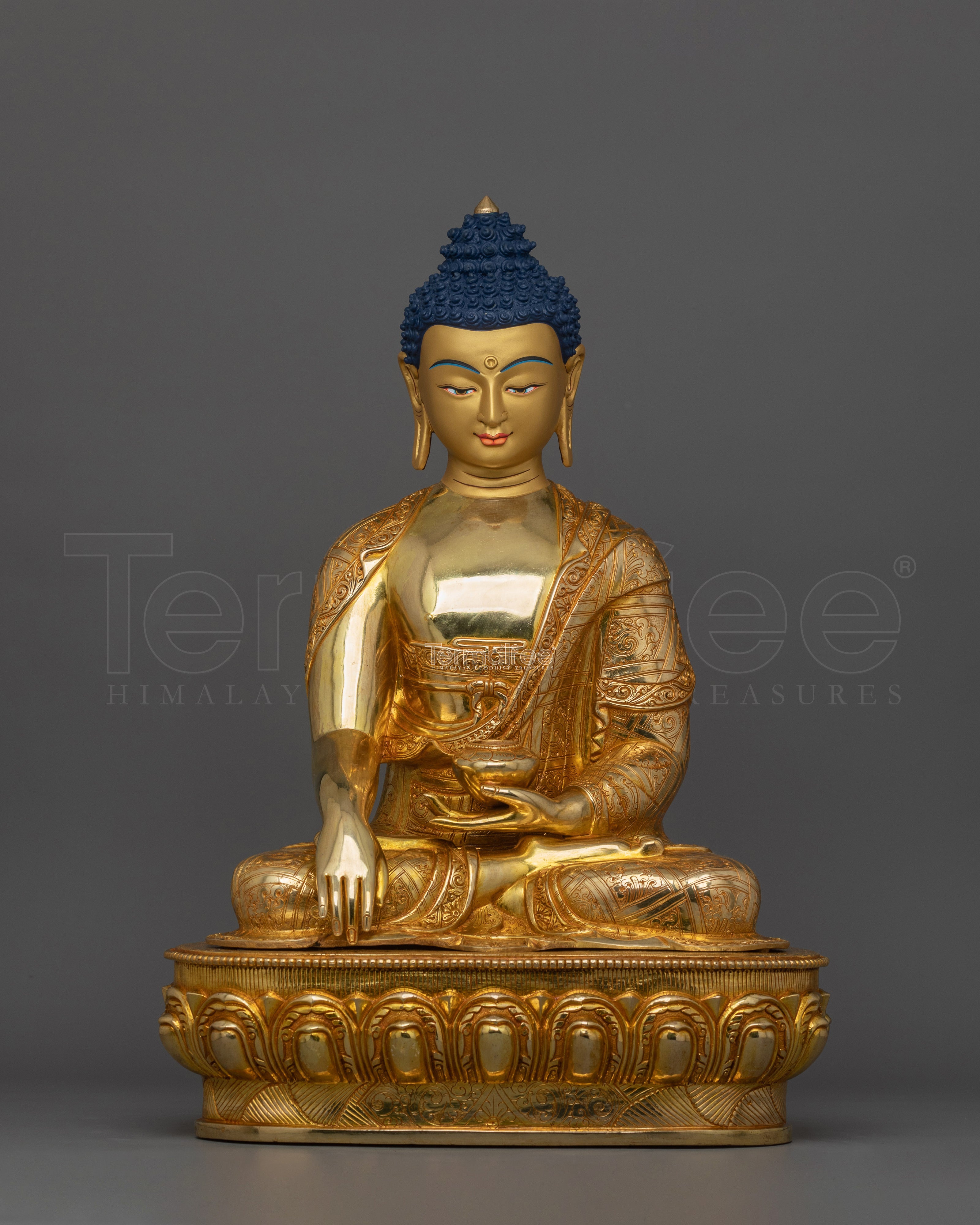 The Dharma Teacher Shakyamuni Buddha |  A Symbol of Timeless Wisdom