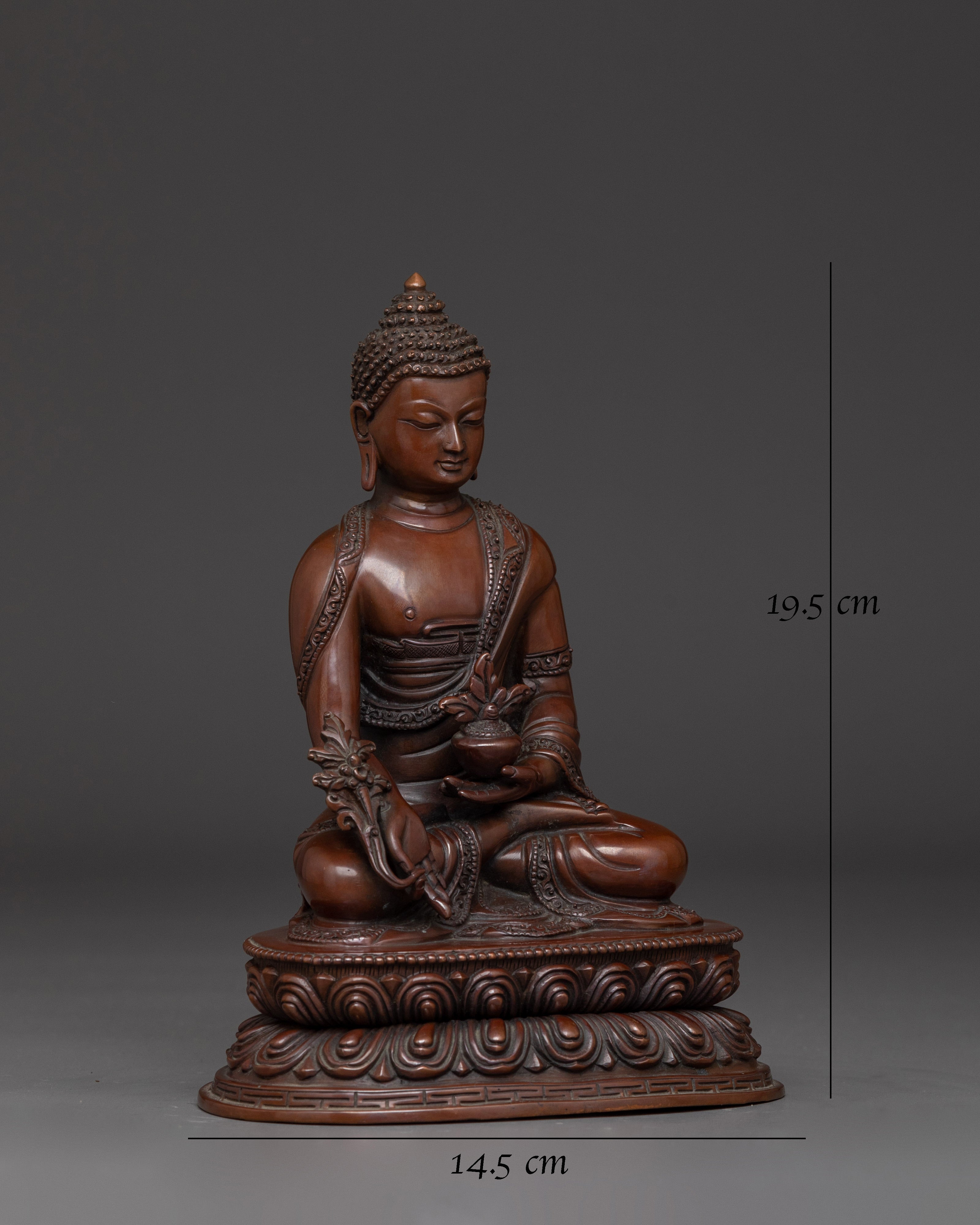 holistic-healer-medicine-buddha