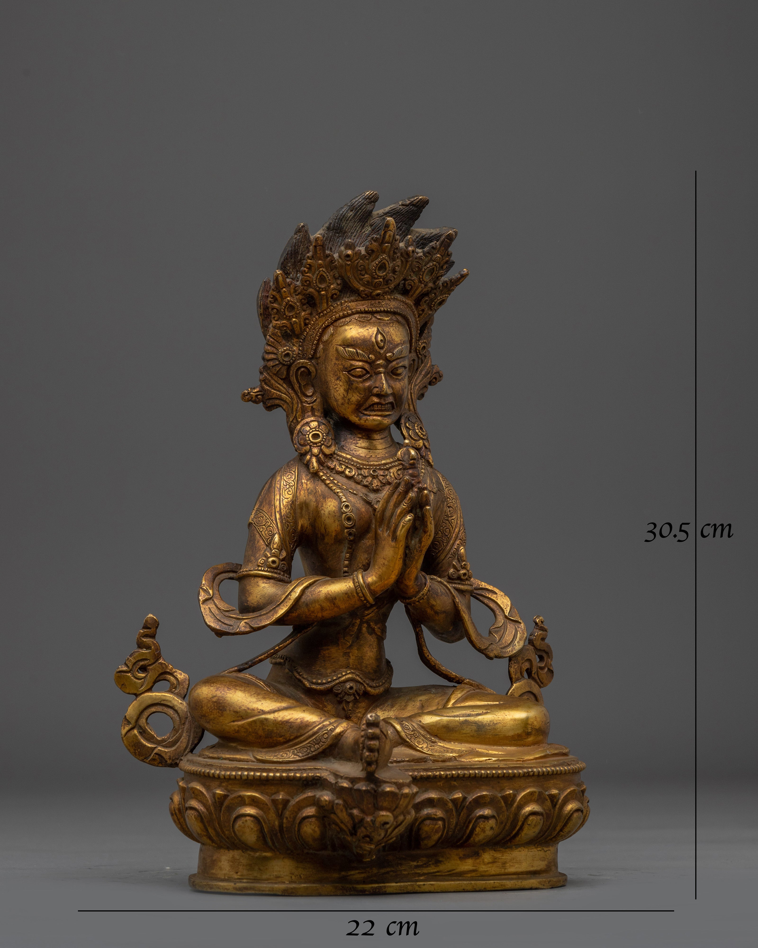 tara-1