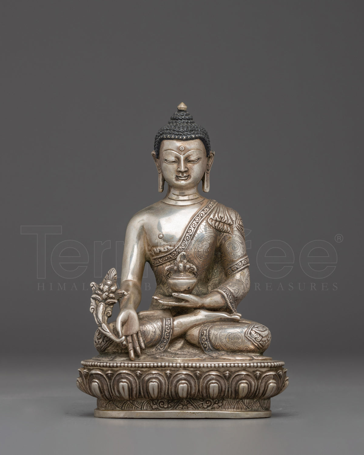 Medicine Buddha Enlighten Healing Artwork - Symbol of wellness and Enlightenment