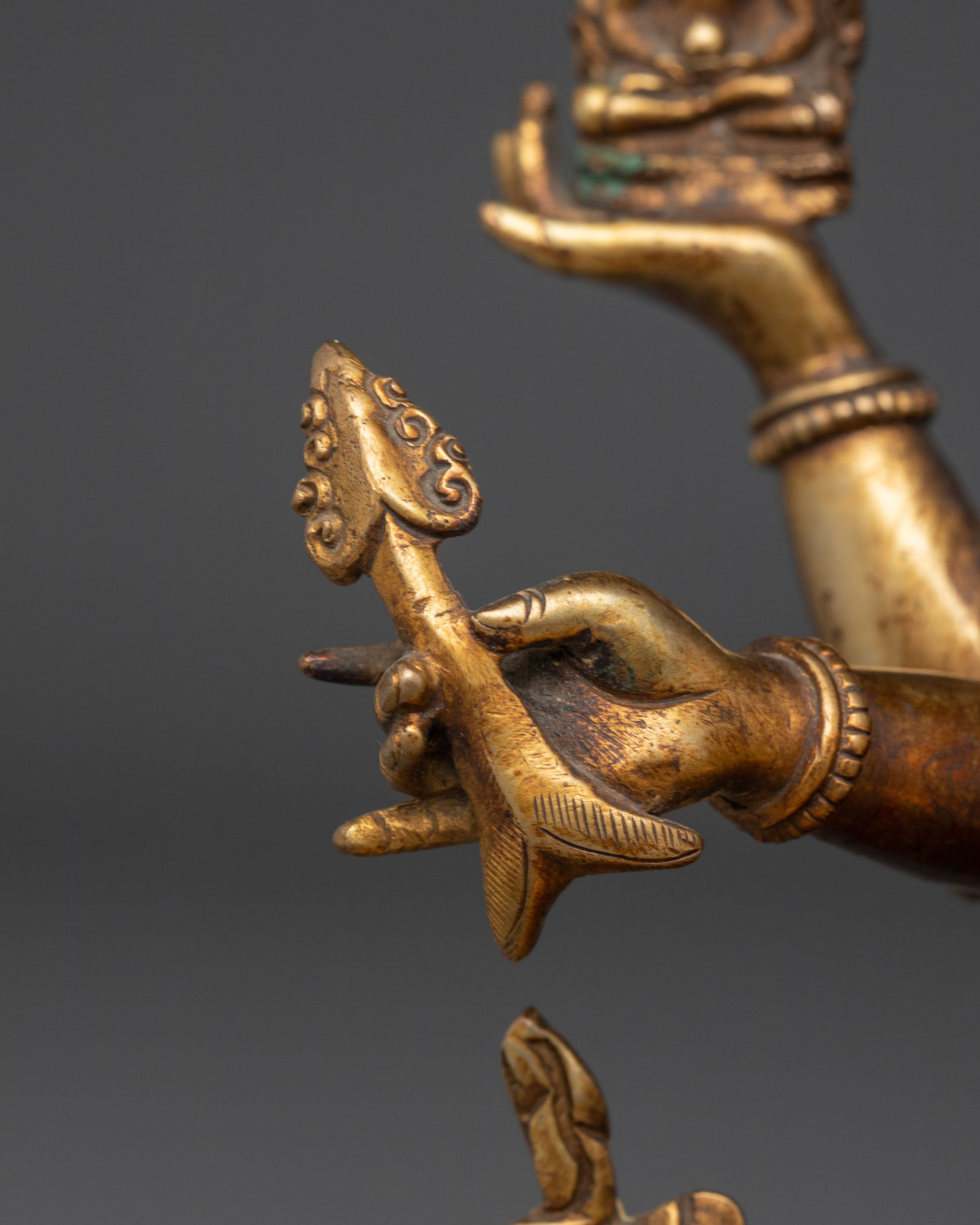Himalayan Deity Namgyalma Art | Buddhist Healing Goddess
