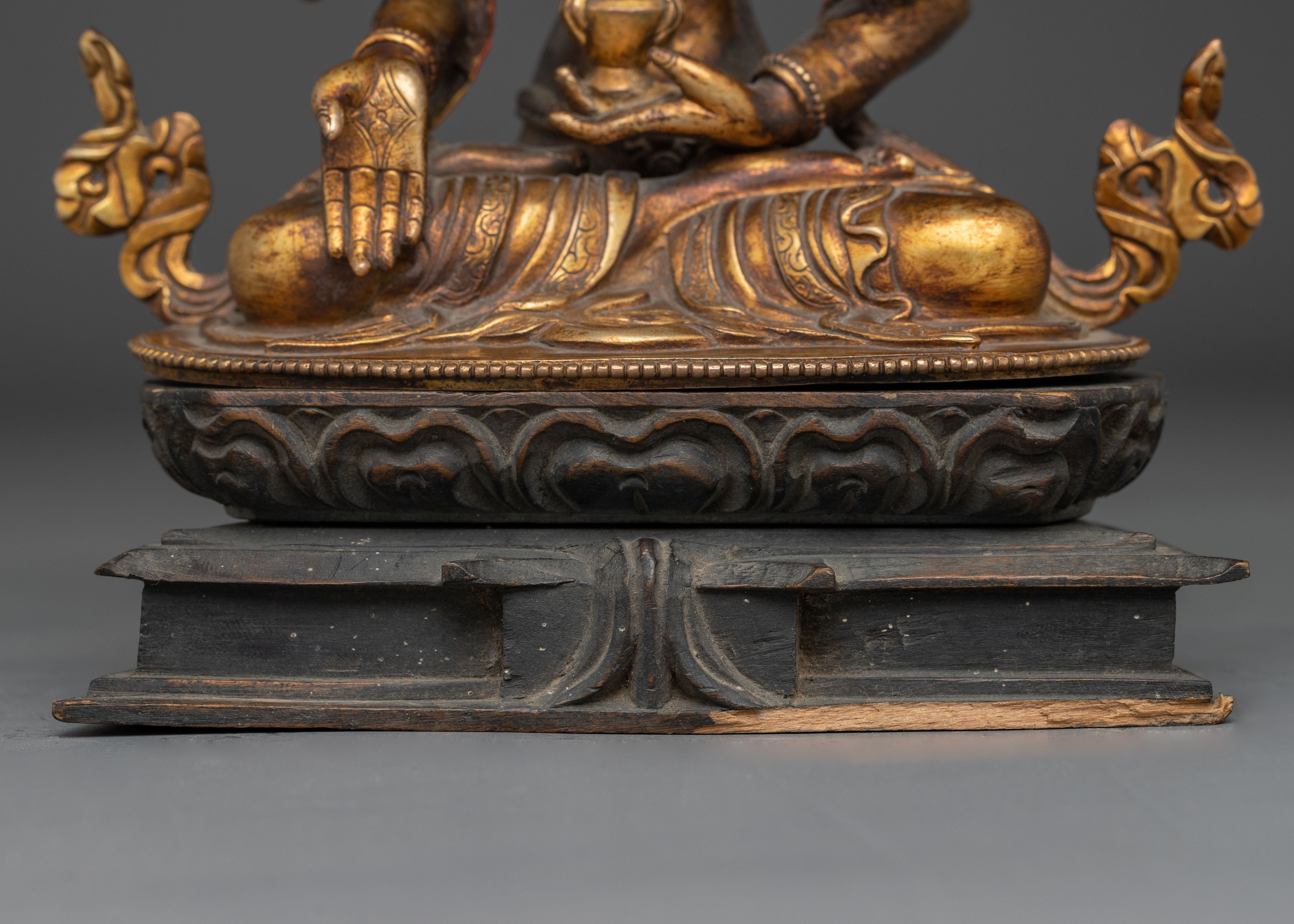 Himalayan Deity Namgyalma Art | Buddhist Healing Goddess