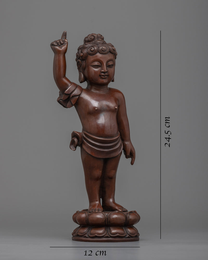 Baby Buddha | Embrace the Innocence and Wisdom of Enlightenment