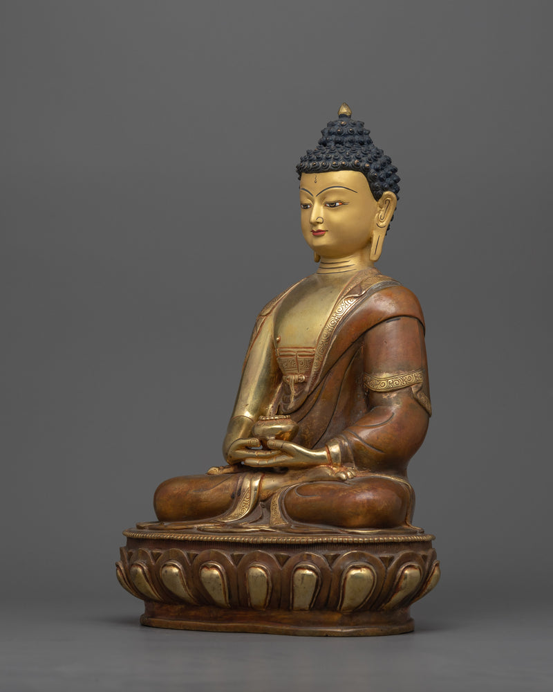 buddha amitabha mudra 