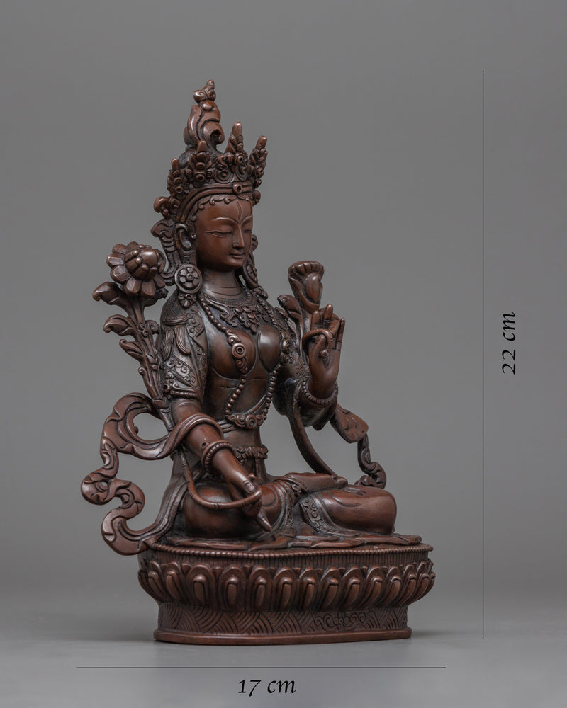 maa tara statue 