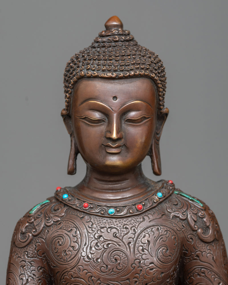 shakyamuni-buddha the enlightened one