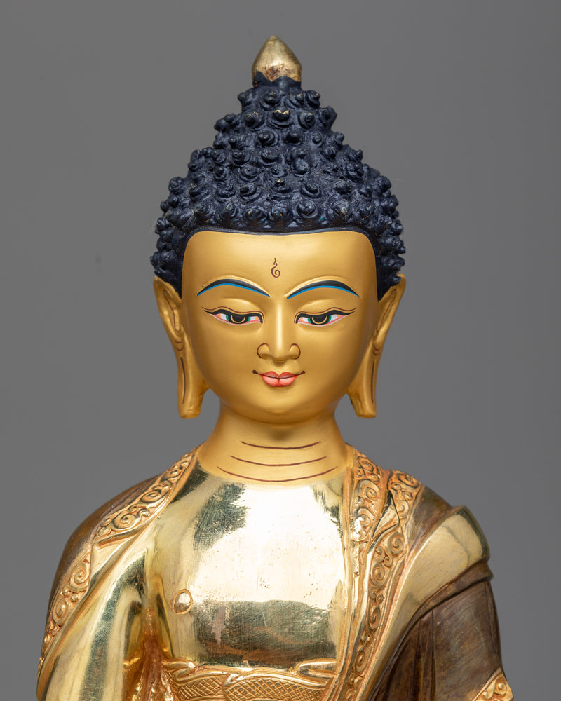 the buddha shakyamuni 