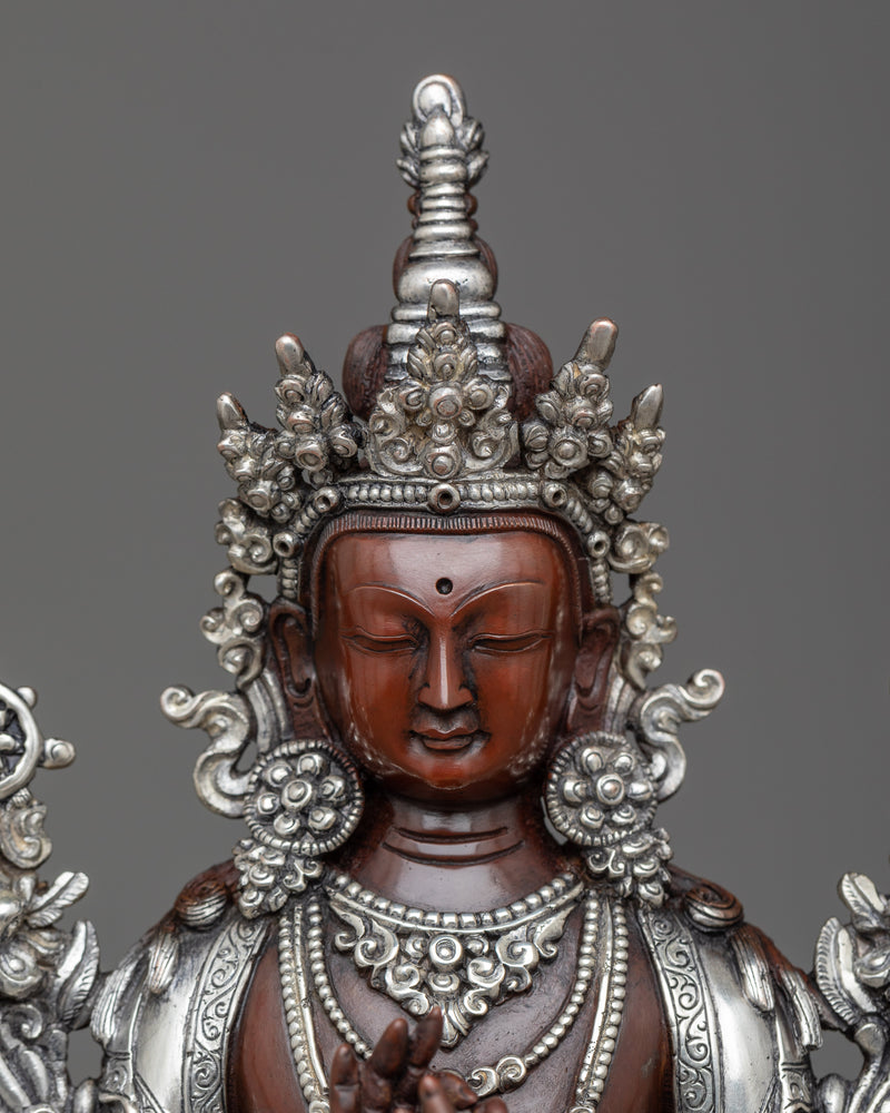 buddha from future maitreya