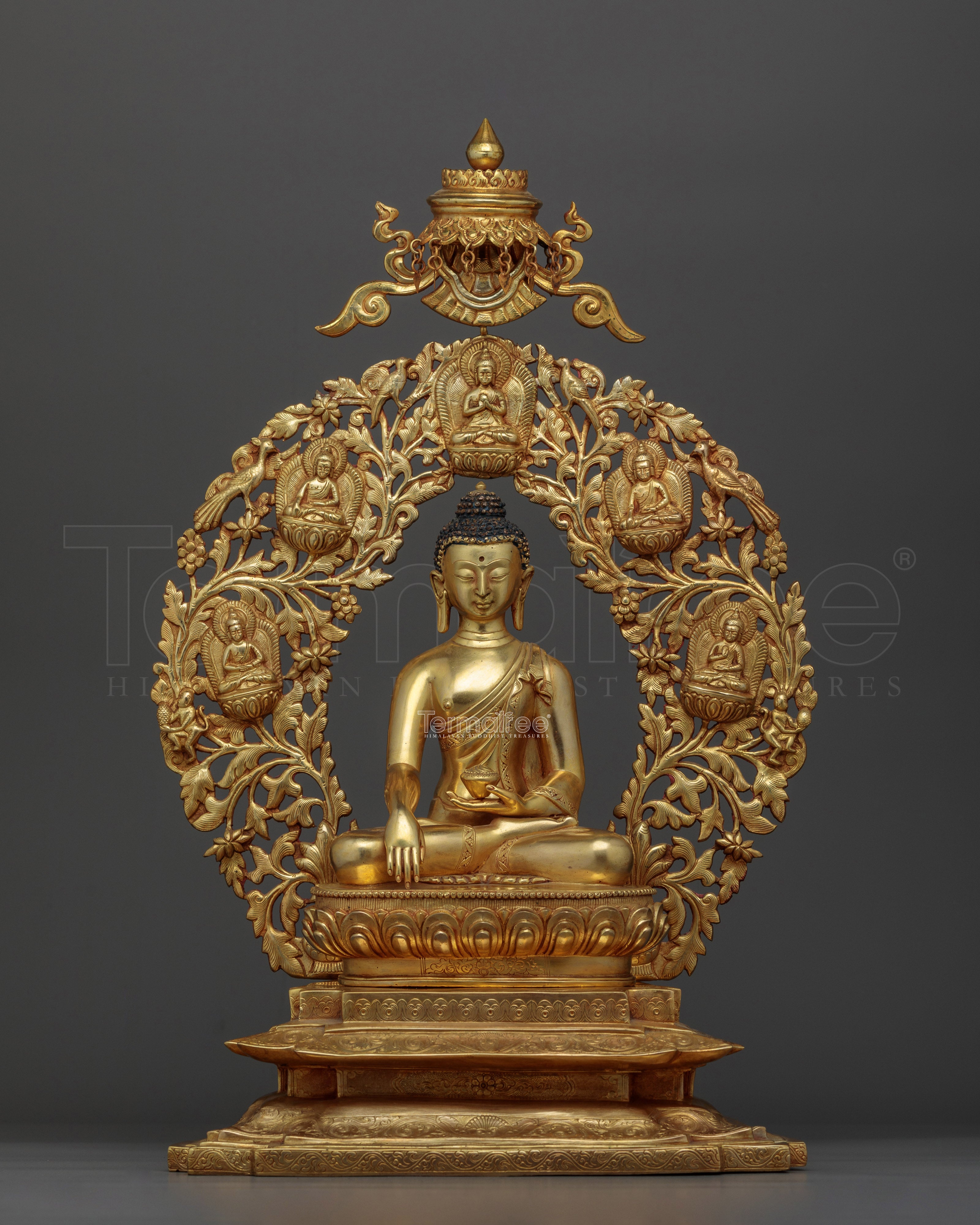 Shakyamuni Buddha a Enlighten Dharma Teacher