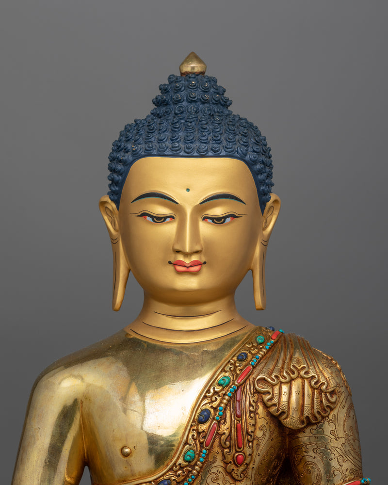 Amitabha Buddha for Religious Dharma | The Pure Land Deity