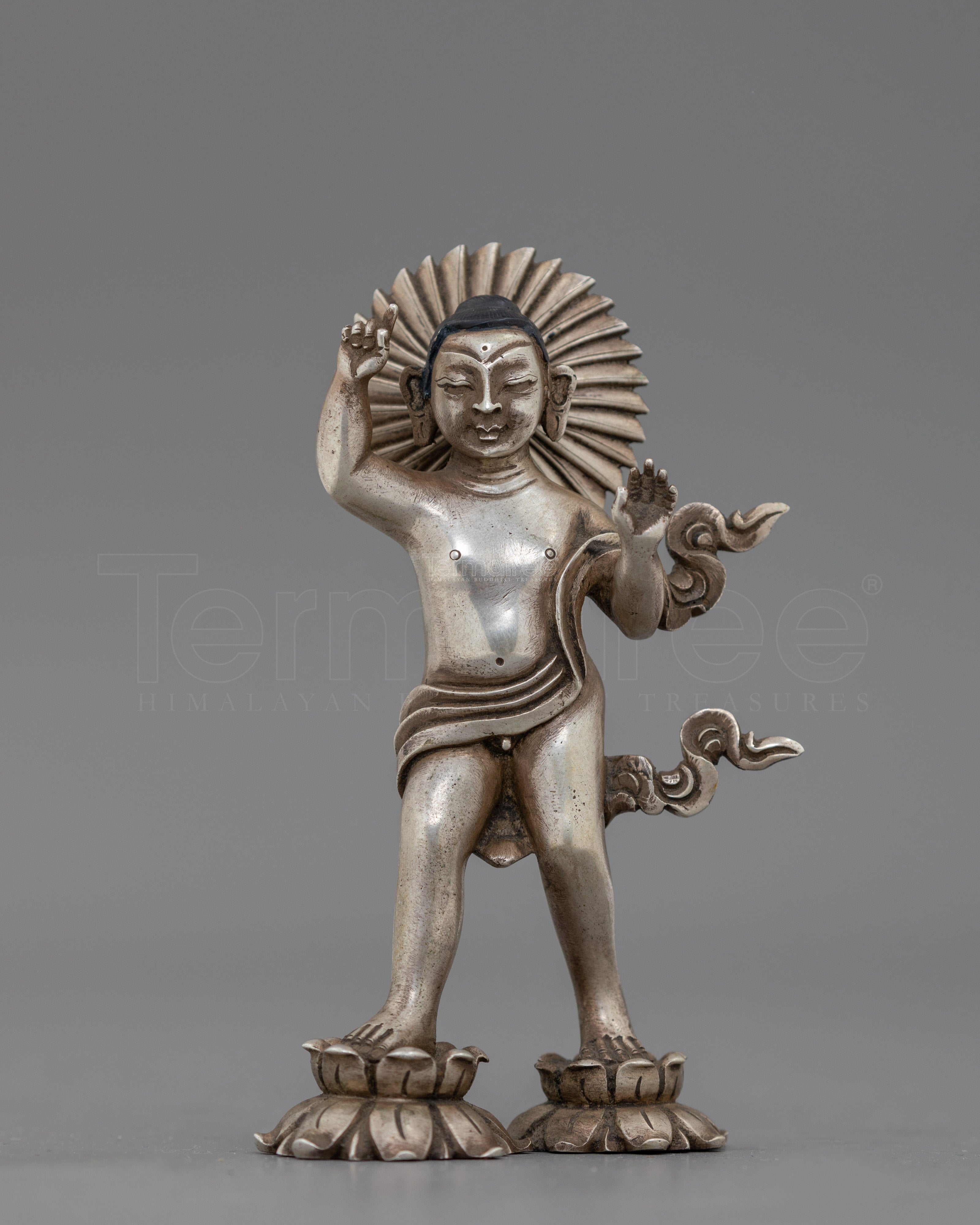 Tibetan Infant Buddha Shakyamuni Statue | A Sacred Journey from Birth to Spiritual Awakening