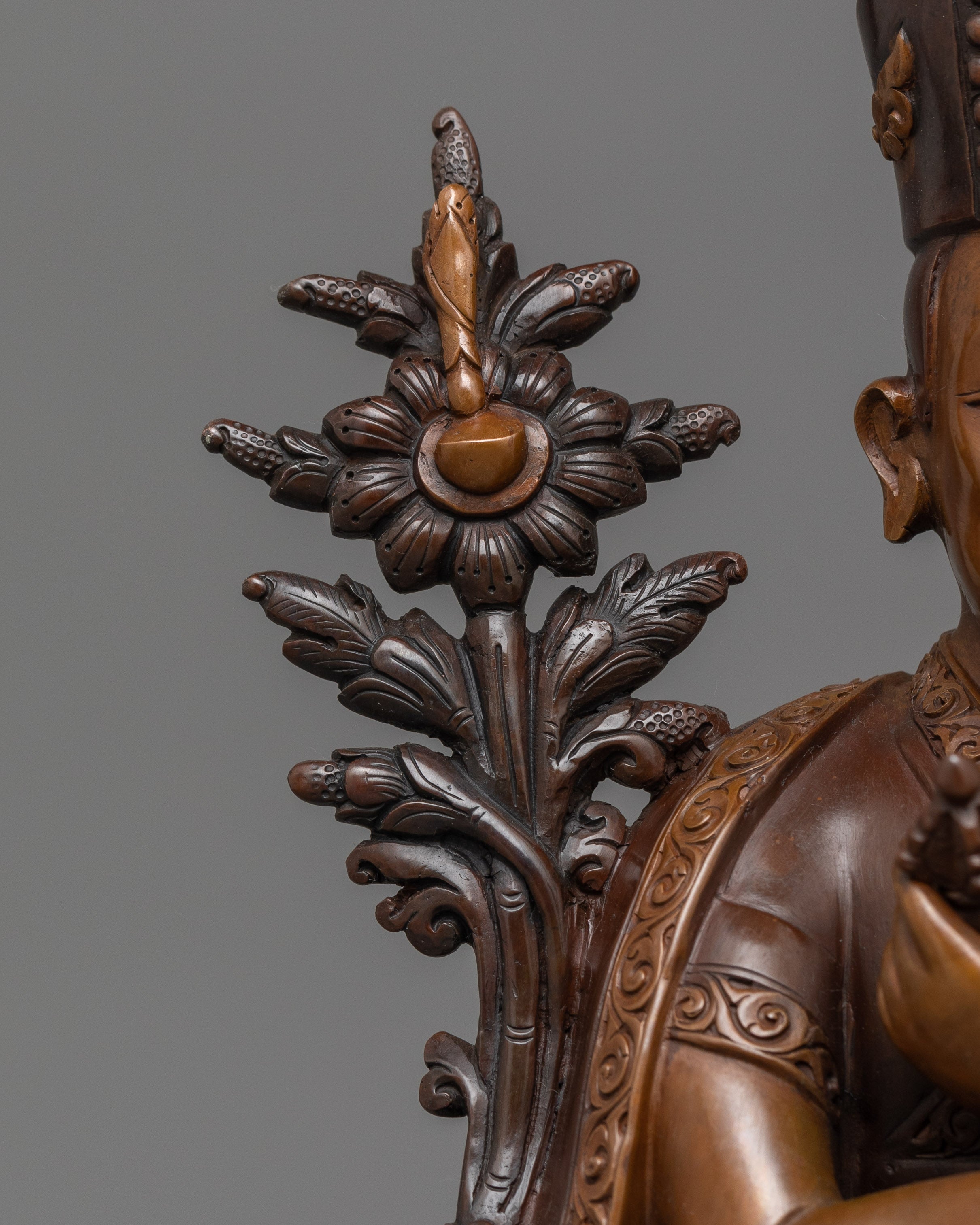 Spiritual Leader of the Kagyu Lineage | Guardian of the Dharma Teachings