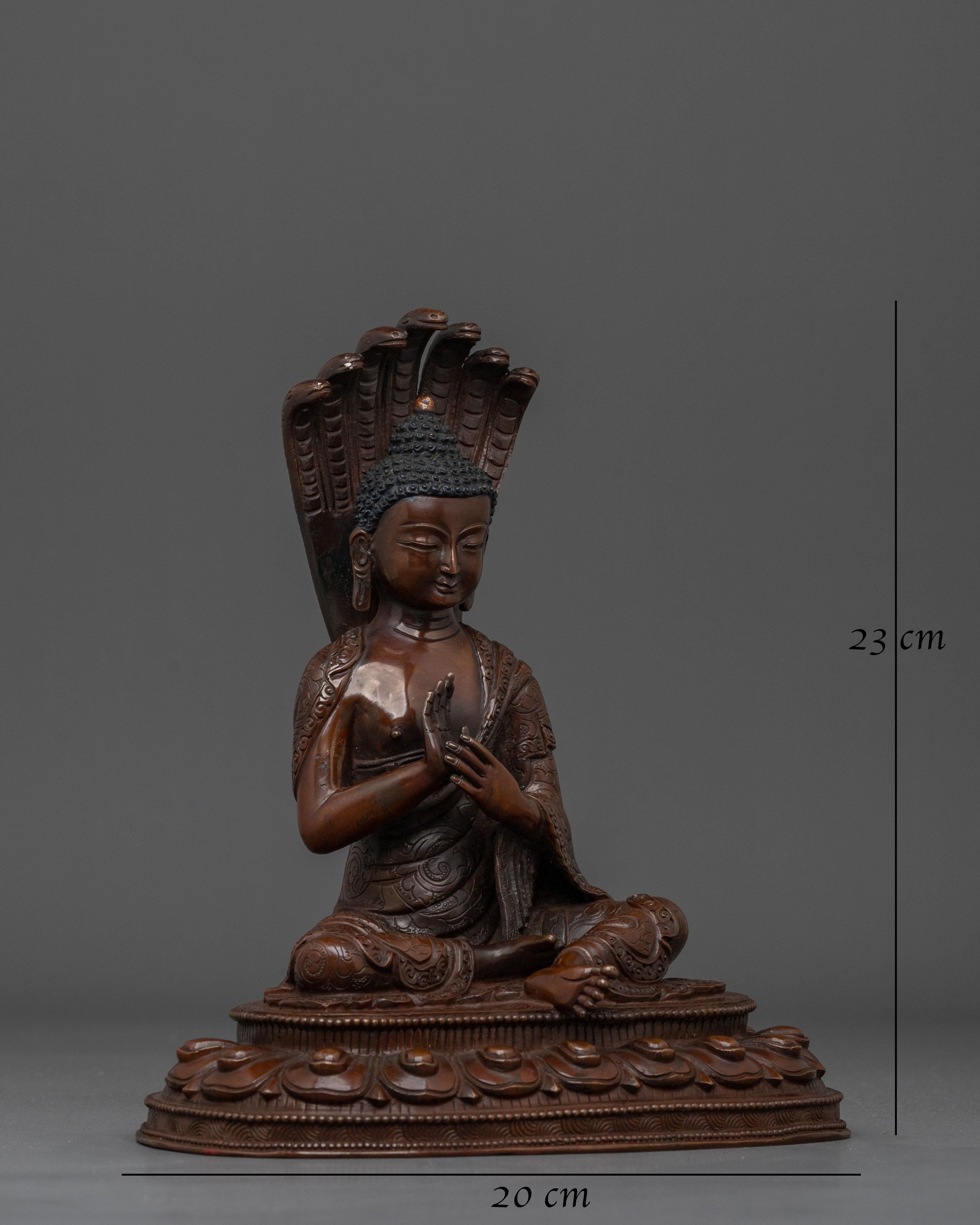 Nagarjuna Sculpture | Oxidized Copper Finish