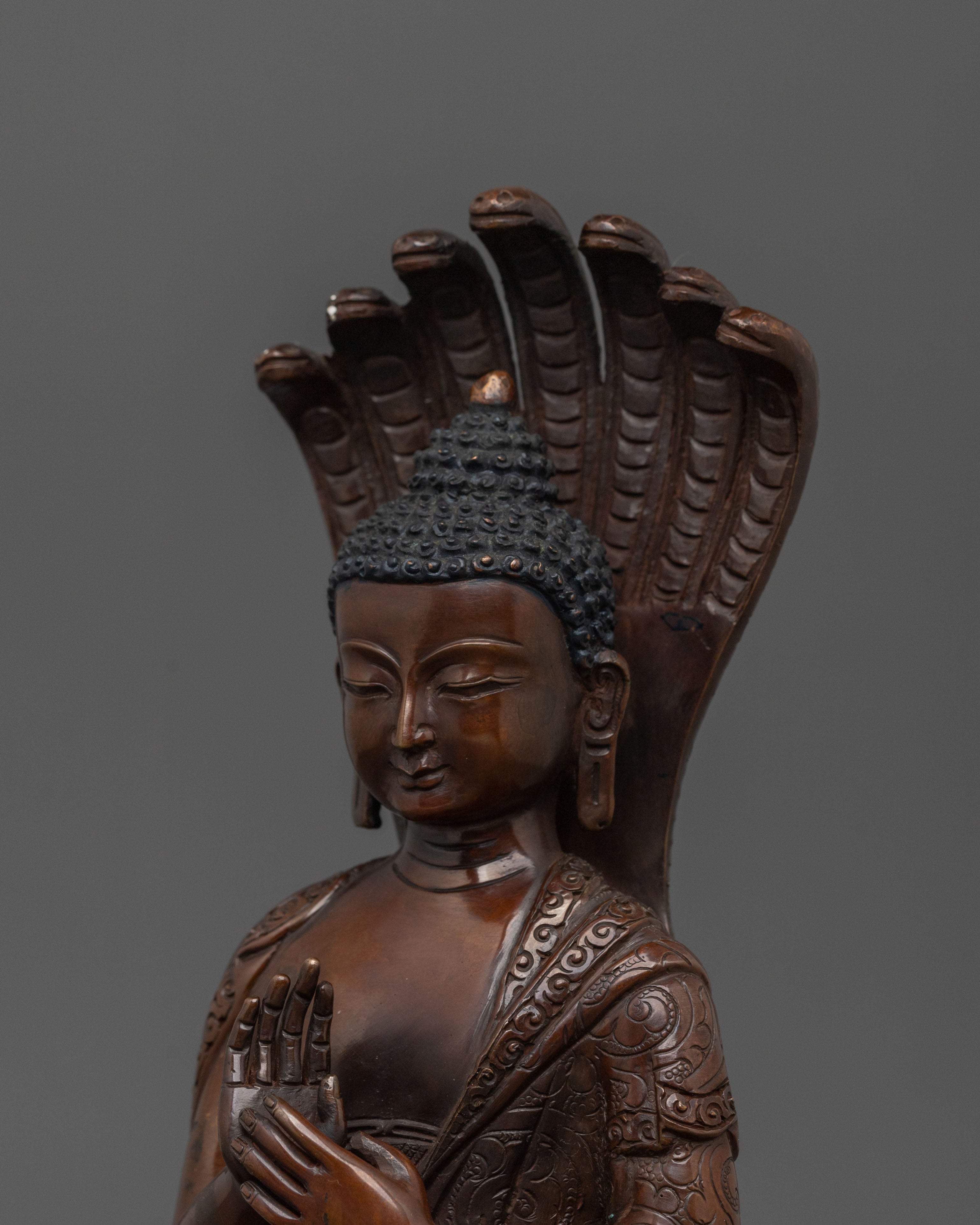 Nagarjuna Sculpture | Oxidized Copper Finish