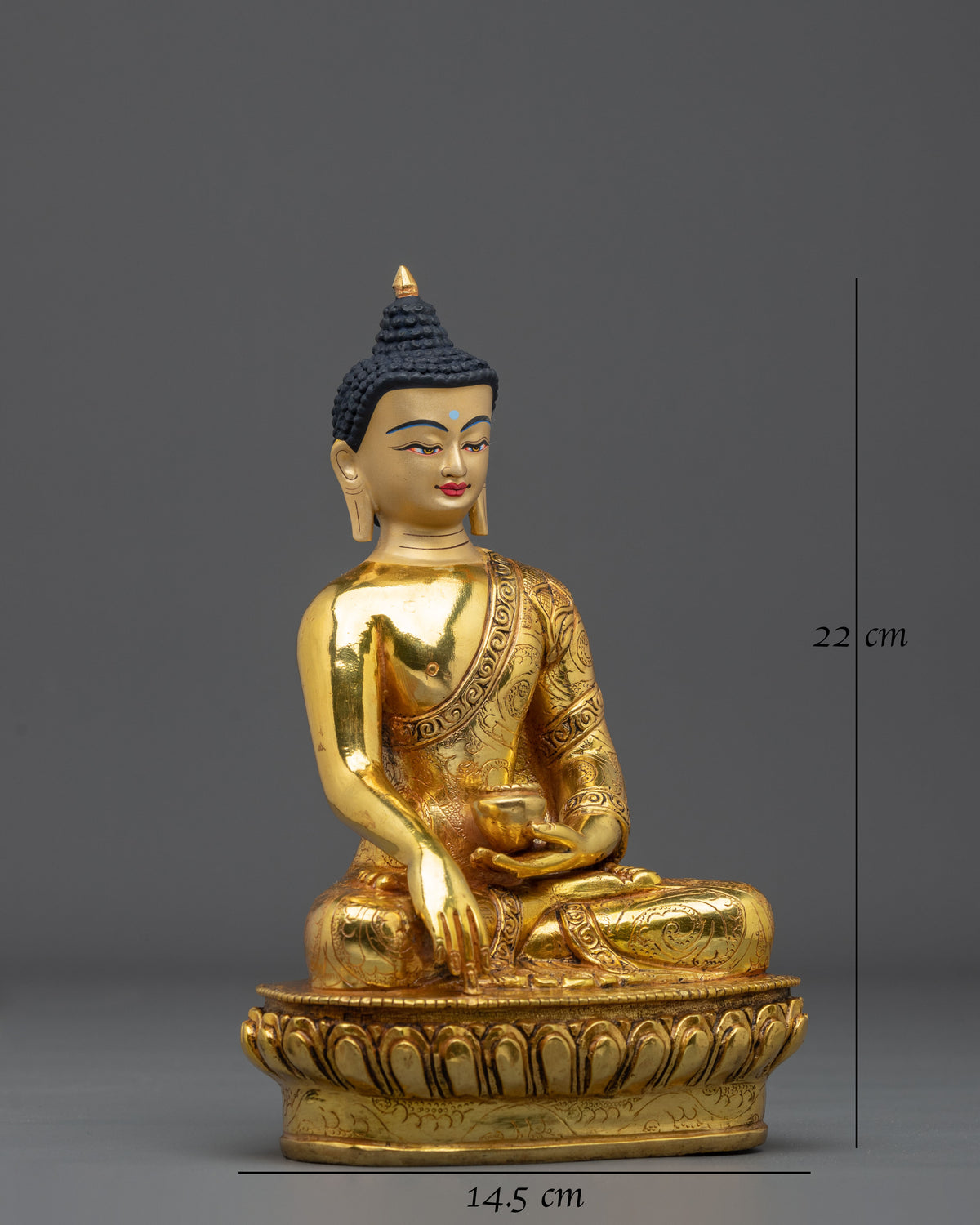 Shakyamuni Buddha 22cm Tall Statue | Home Decor