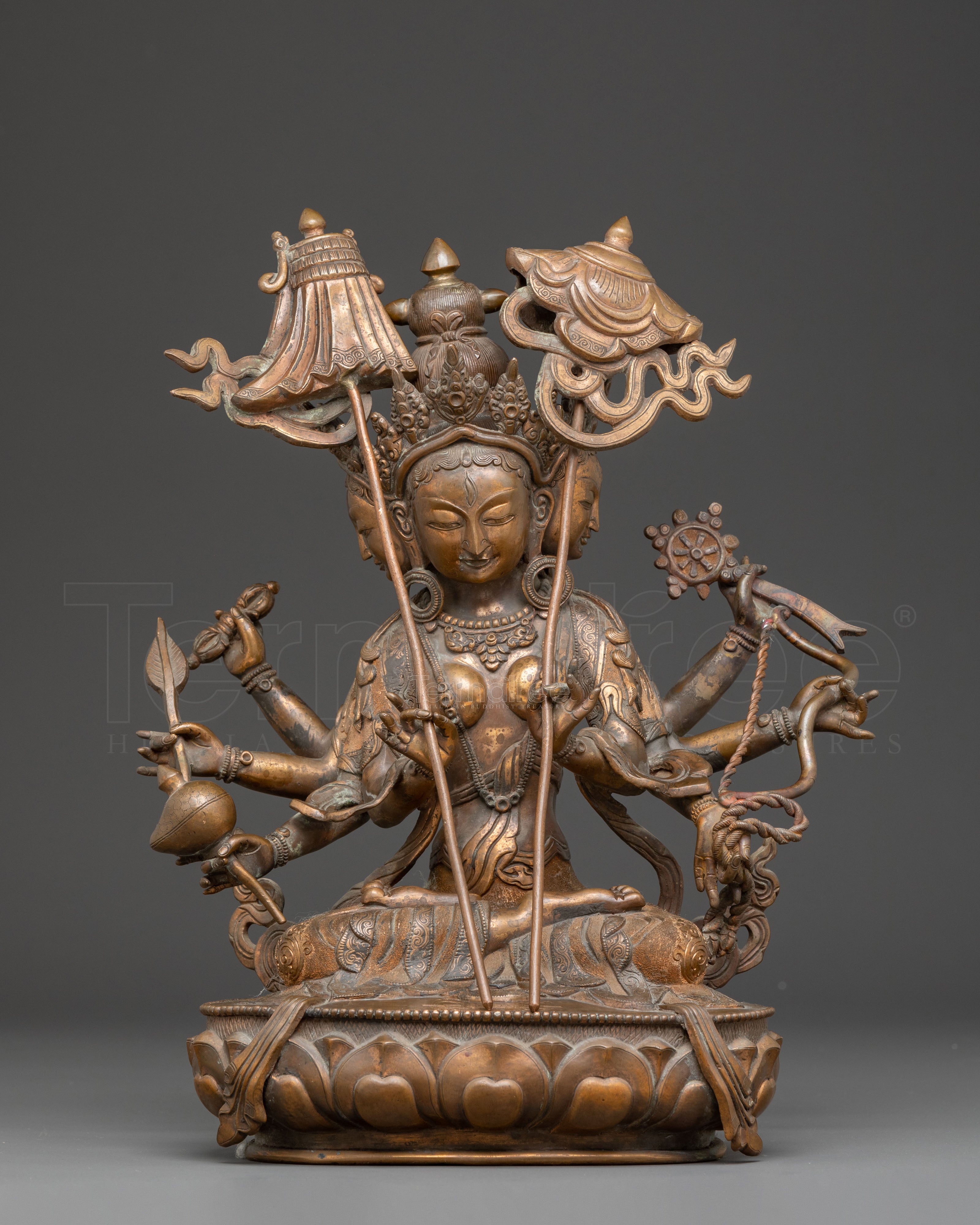 Tibetan Dhoja Devi Deity Statue - Antique Finish Copper