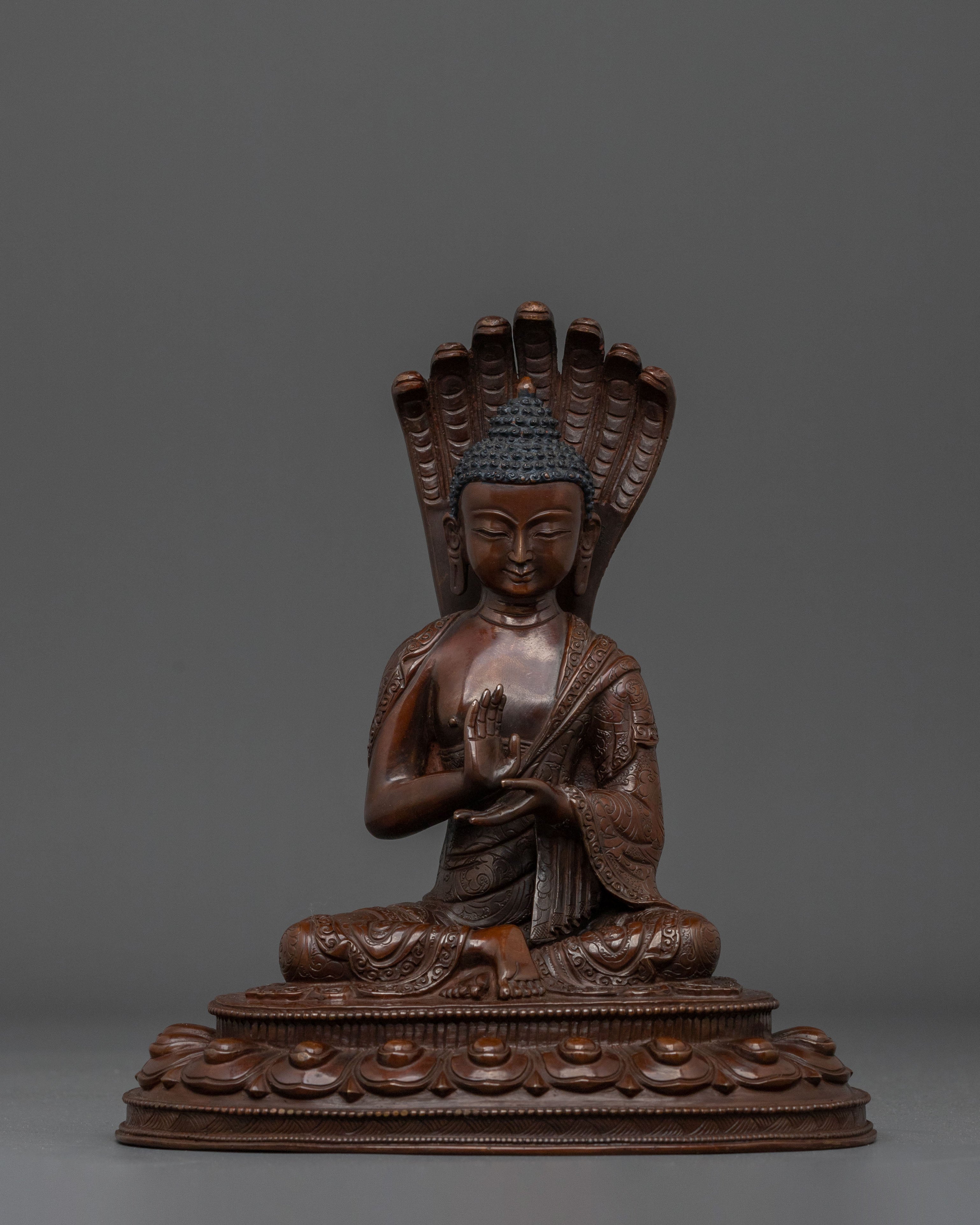 Nagarjuna Statue 