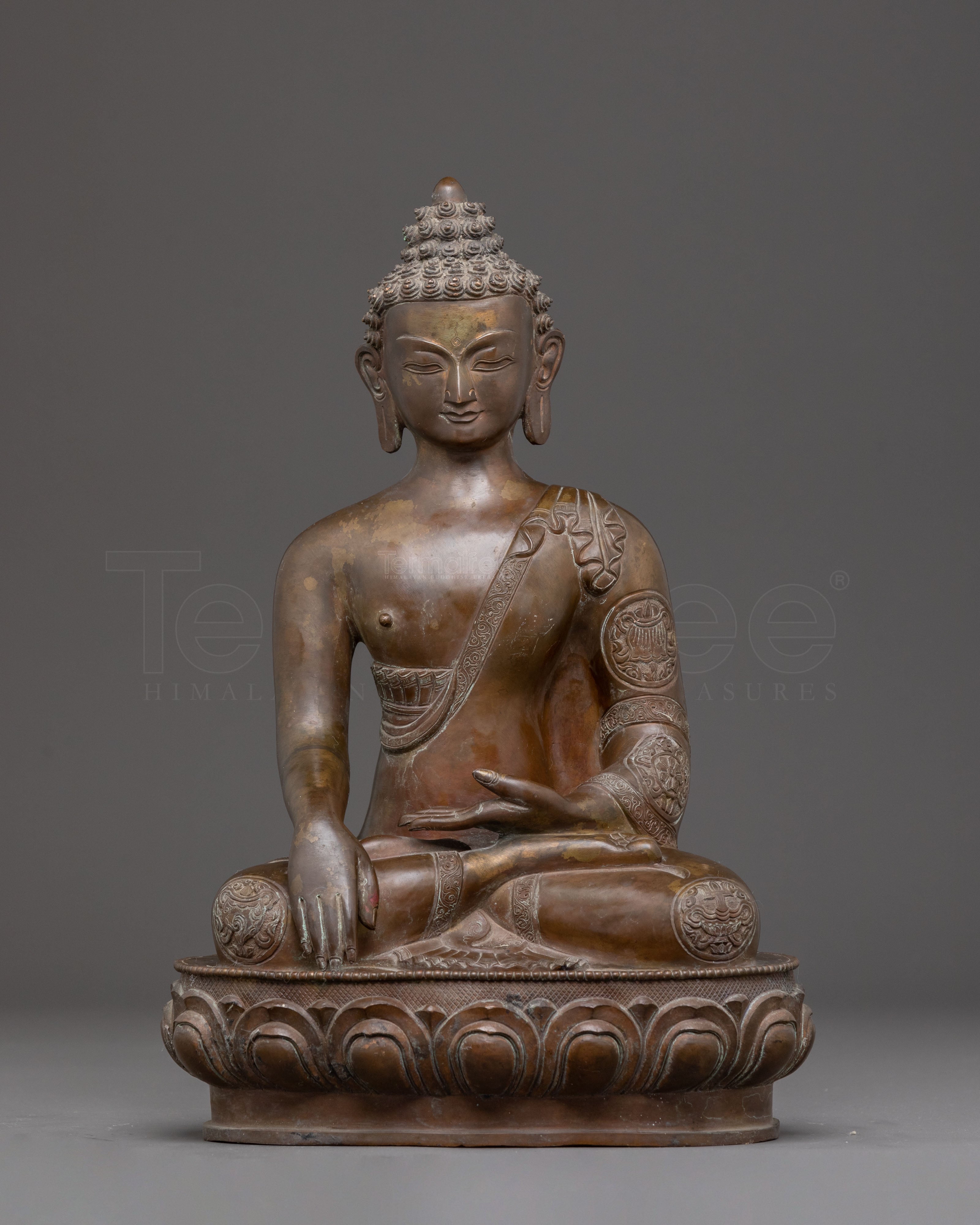 Teacher of Dharma Oxidized Buddha Shakyamuni Statue