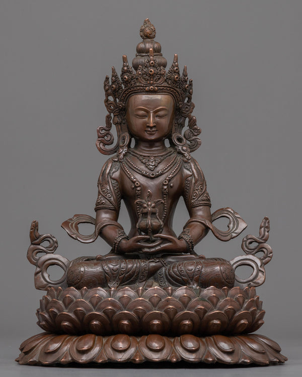 lord of boundless light buddhist statue 